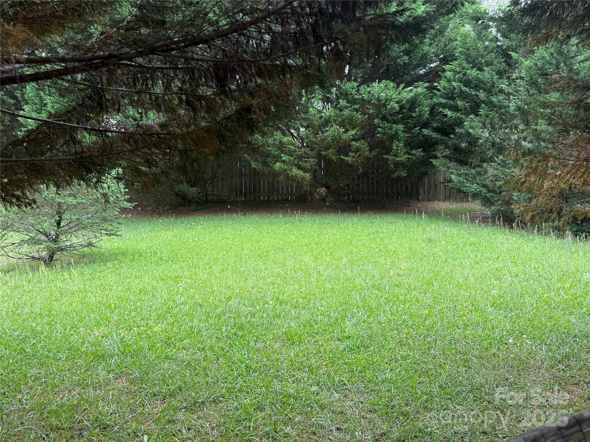 Photo #17