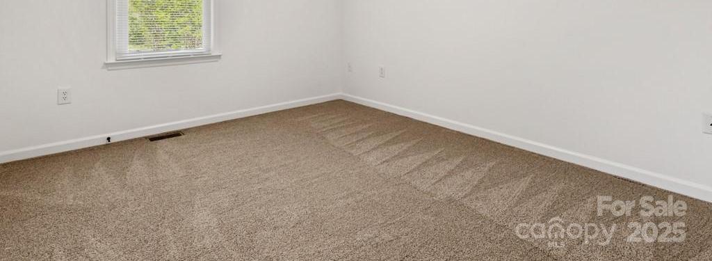 Photo #19