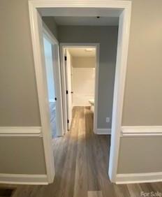 Photo #13
