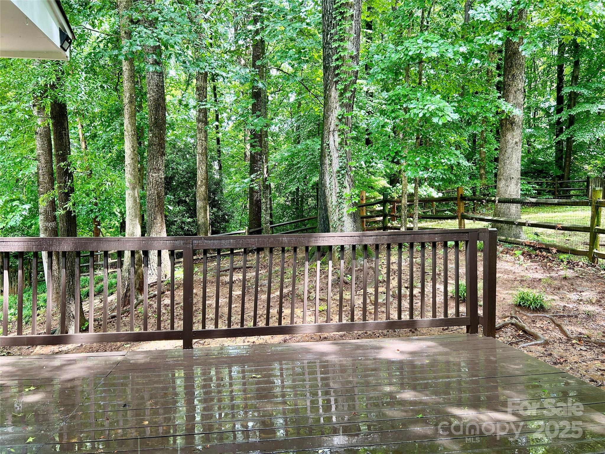 Photo #35