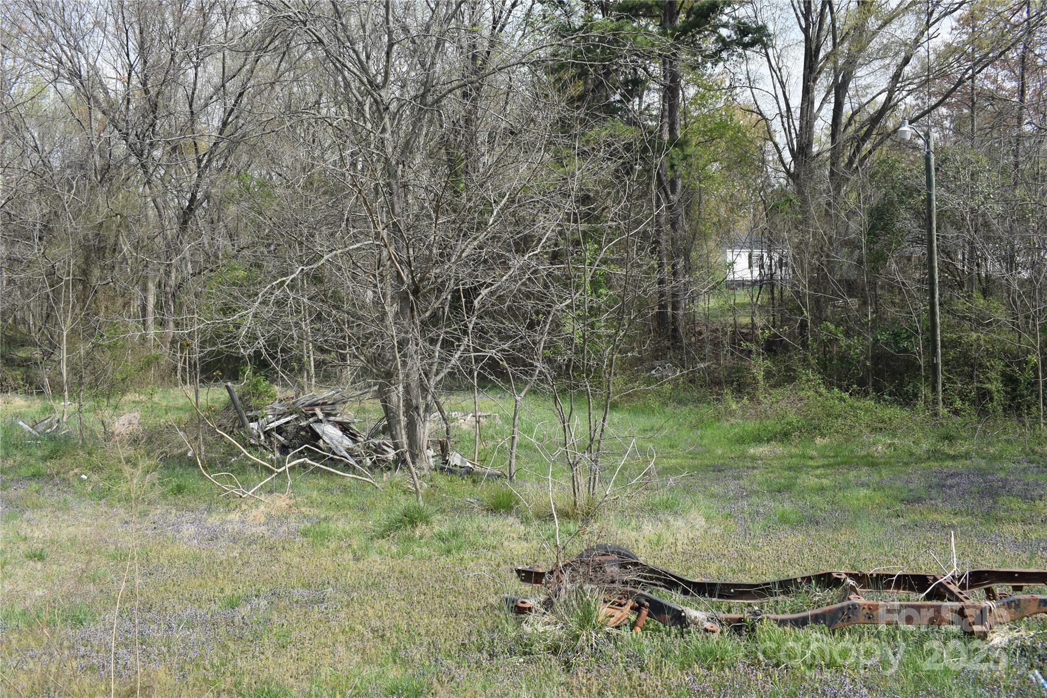 Photo #4