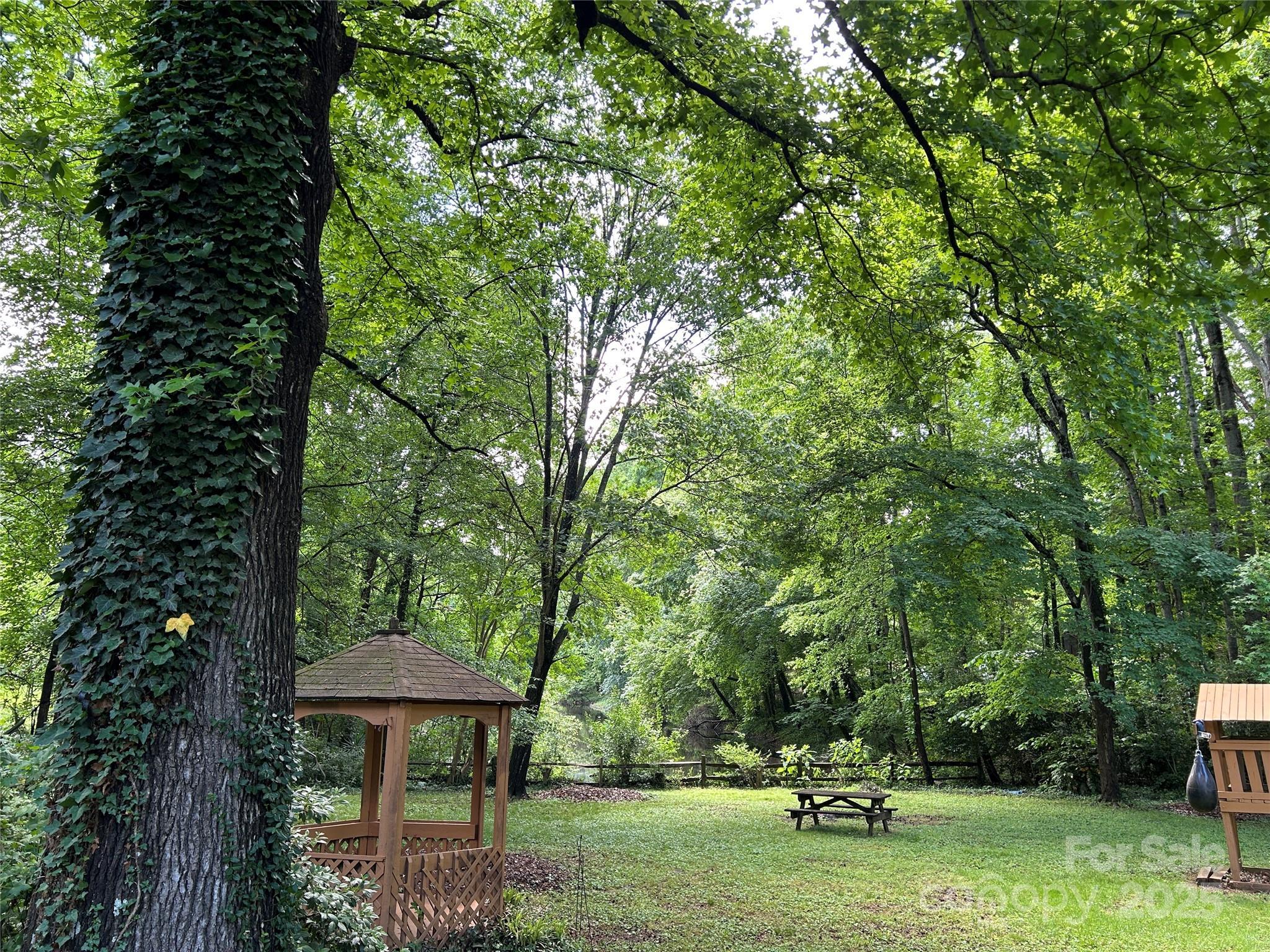 Photo #46
