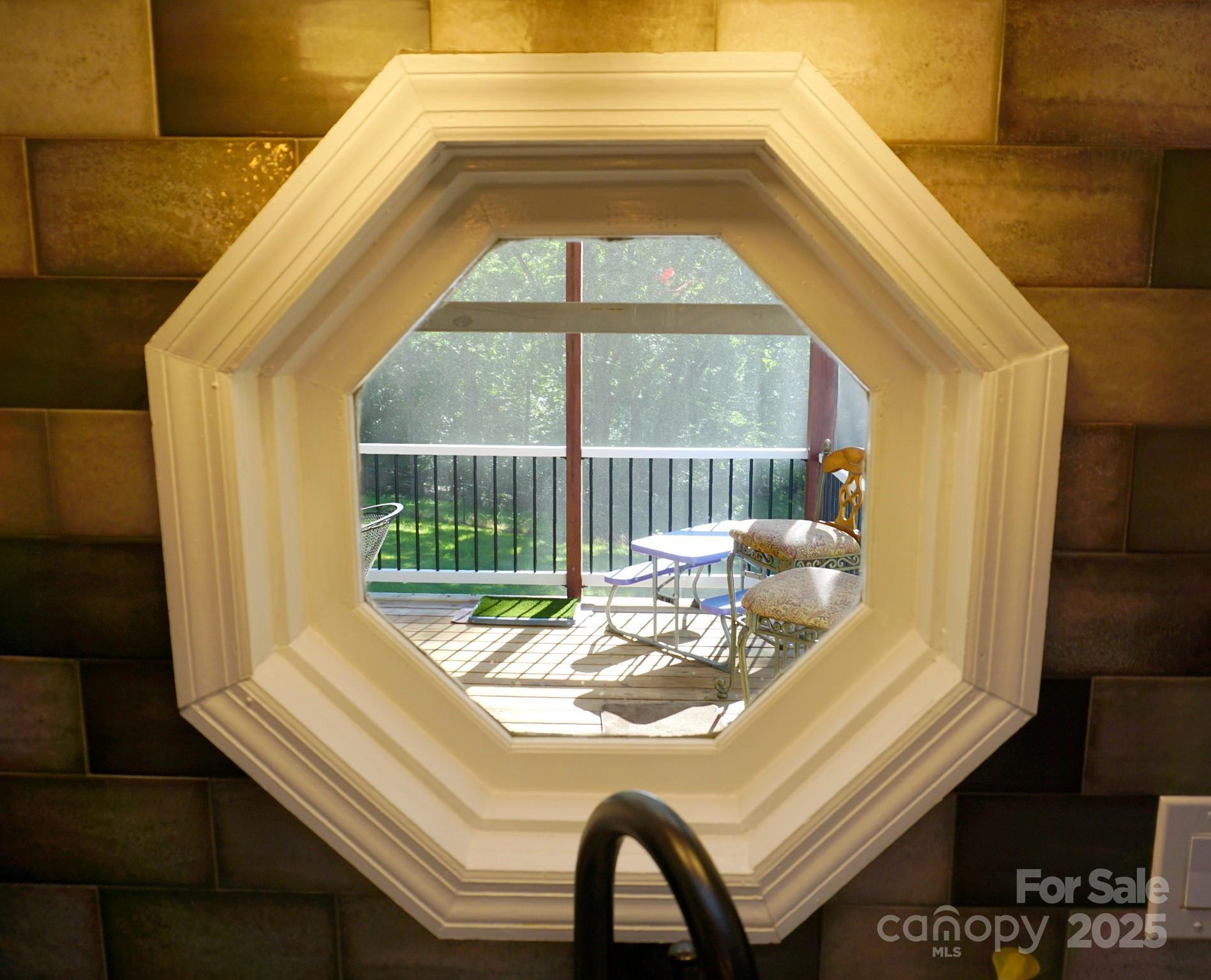 Photo #11