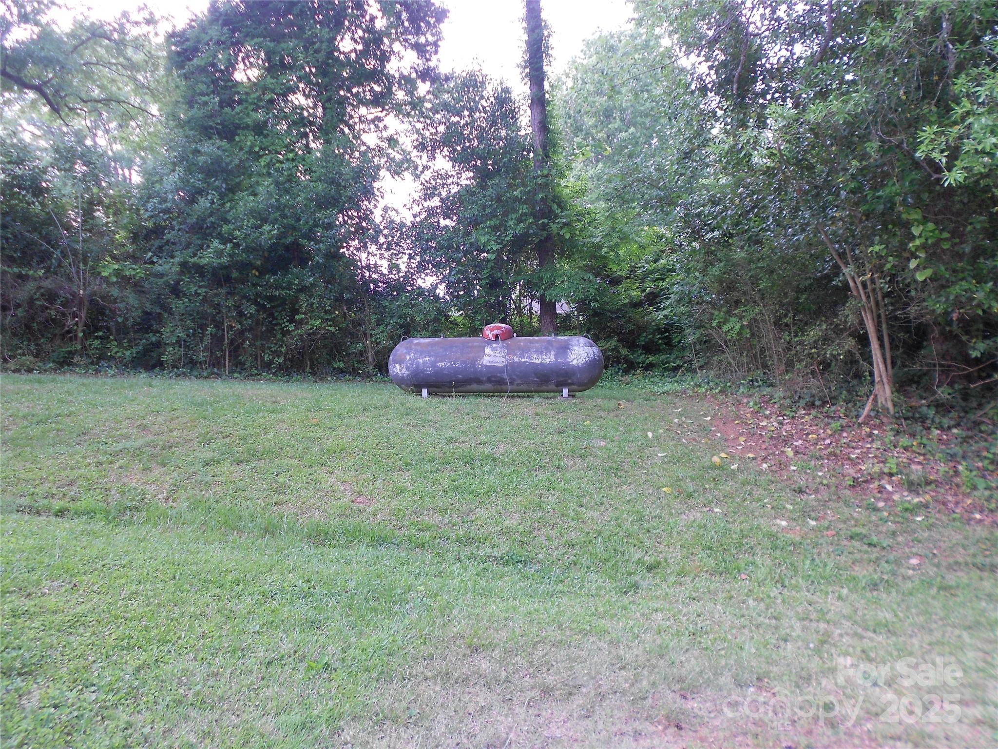 Photo #7