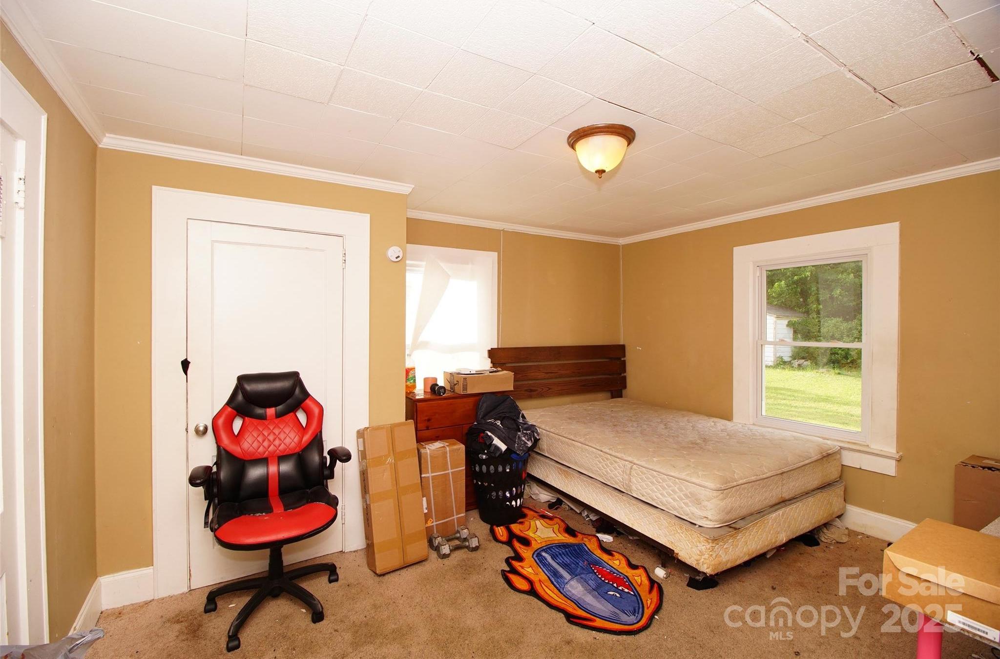 Photo #12