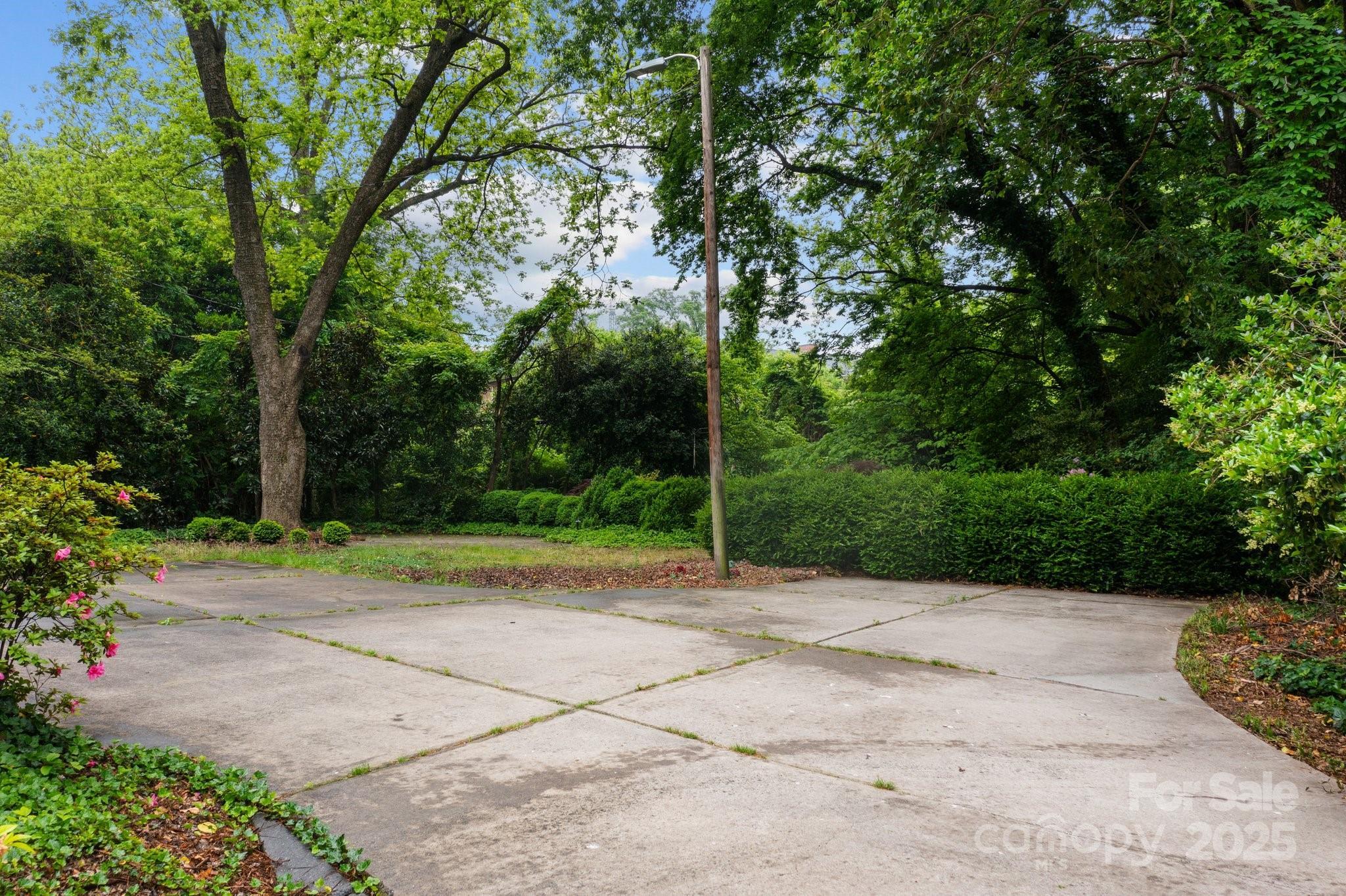 Photo #5