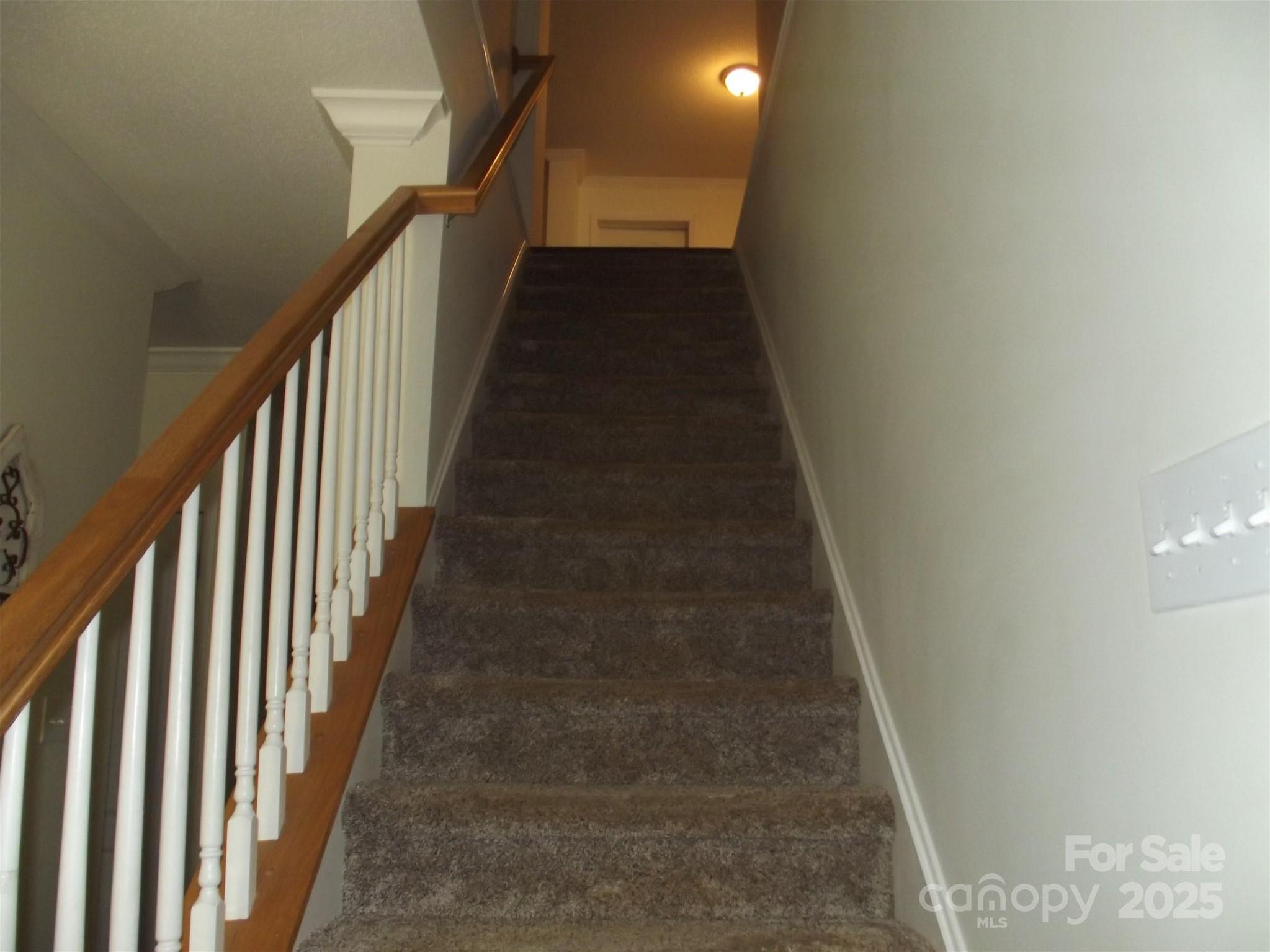 Photo #24