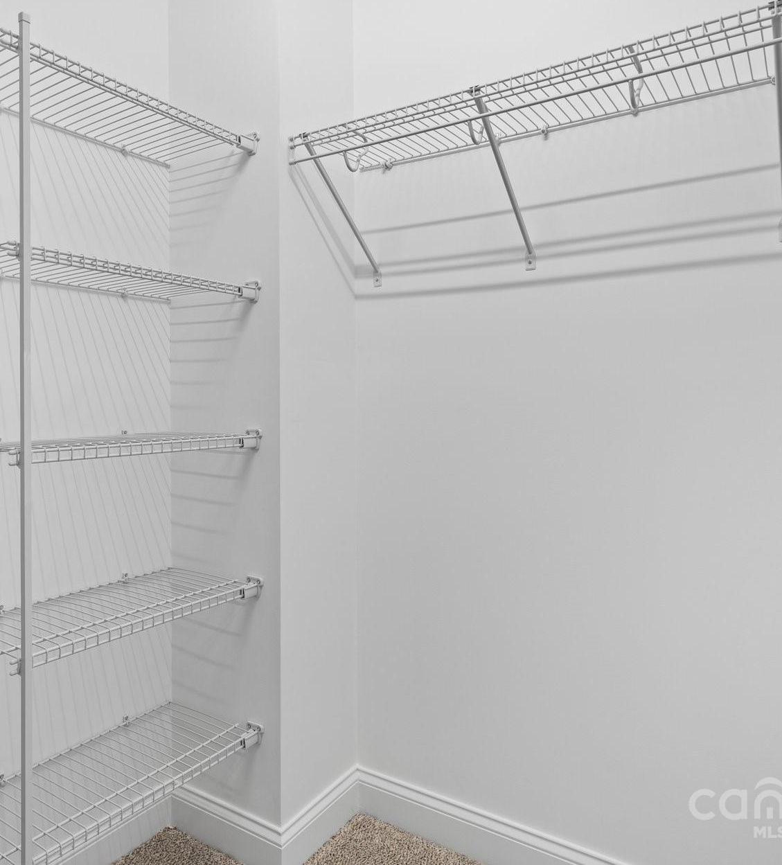 Photo #11