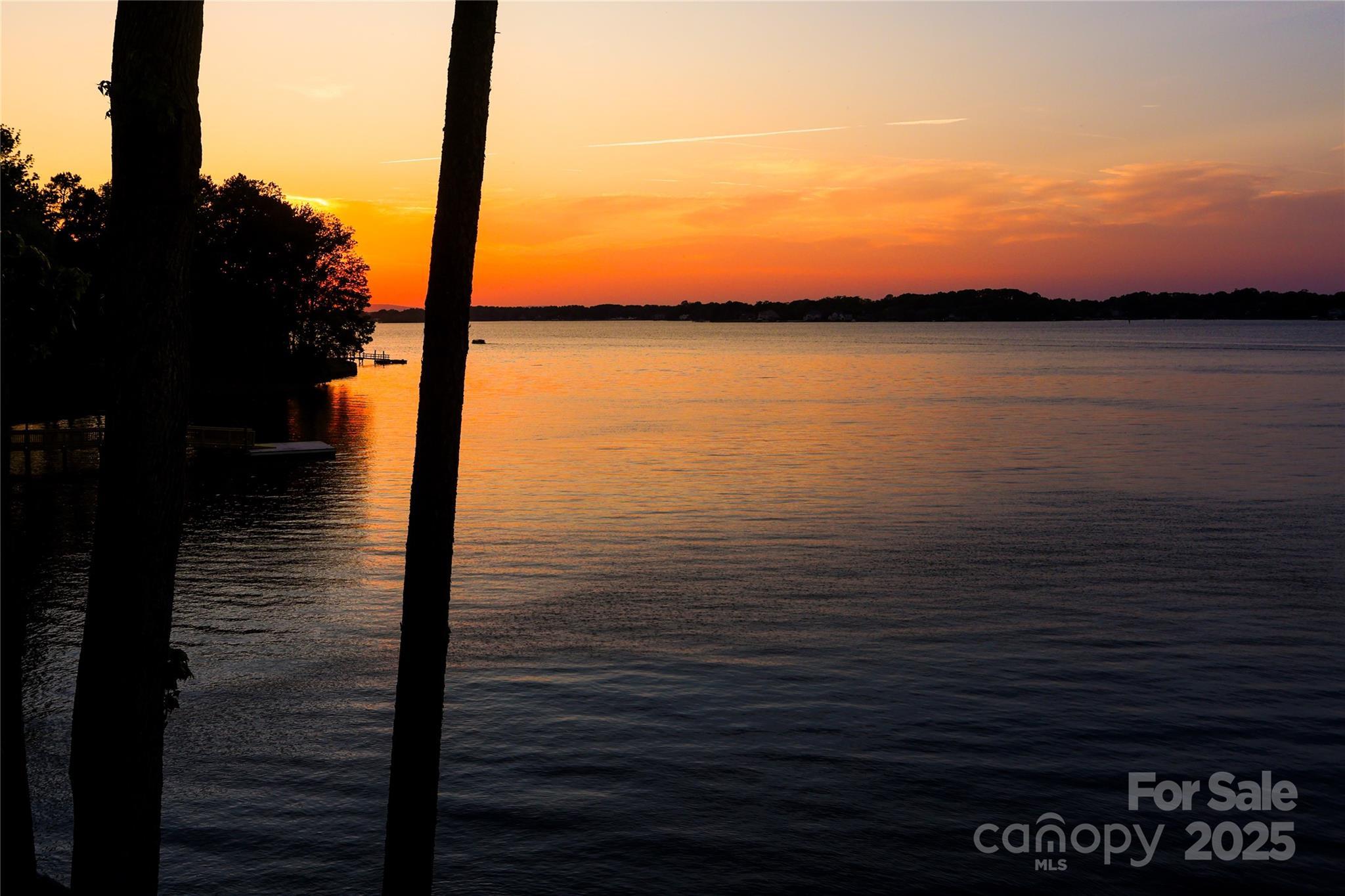 Photo #4