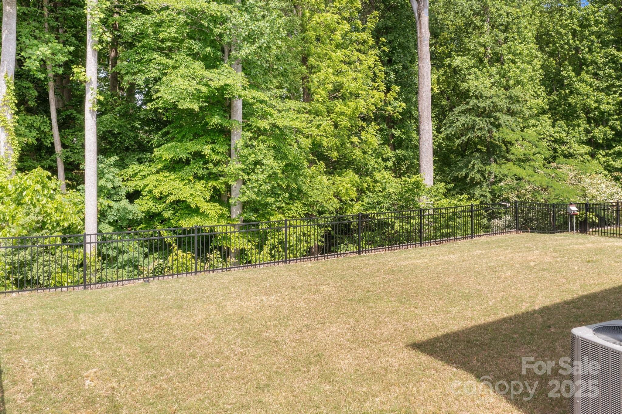 Photo #33