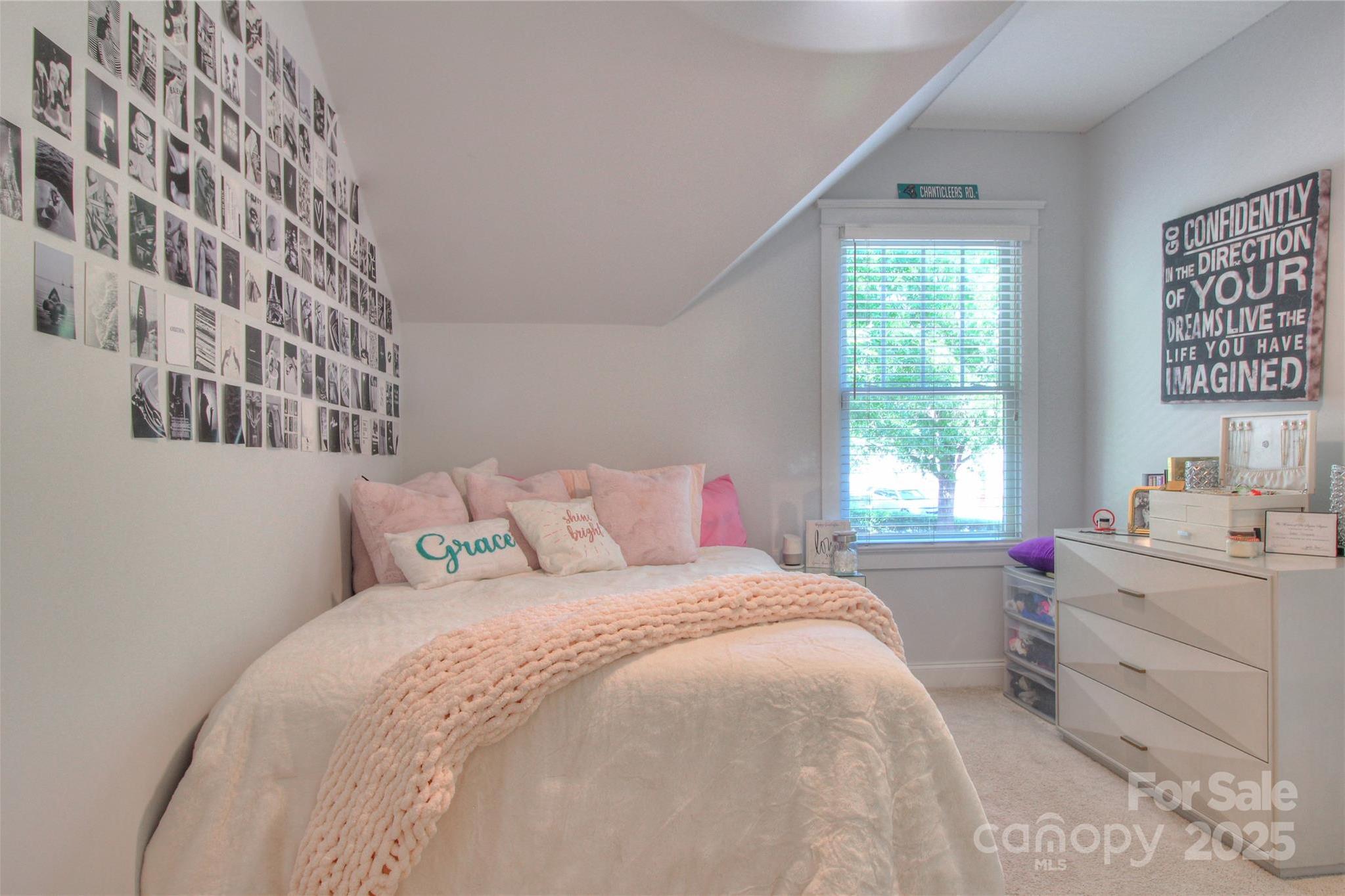 Photo #27