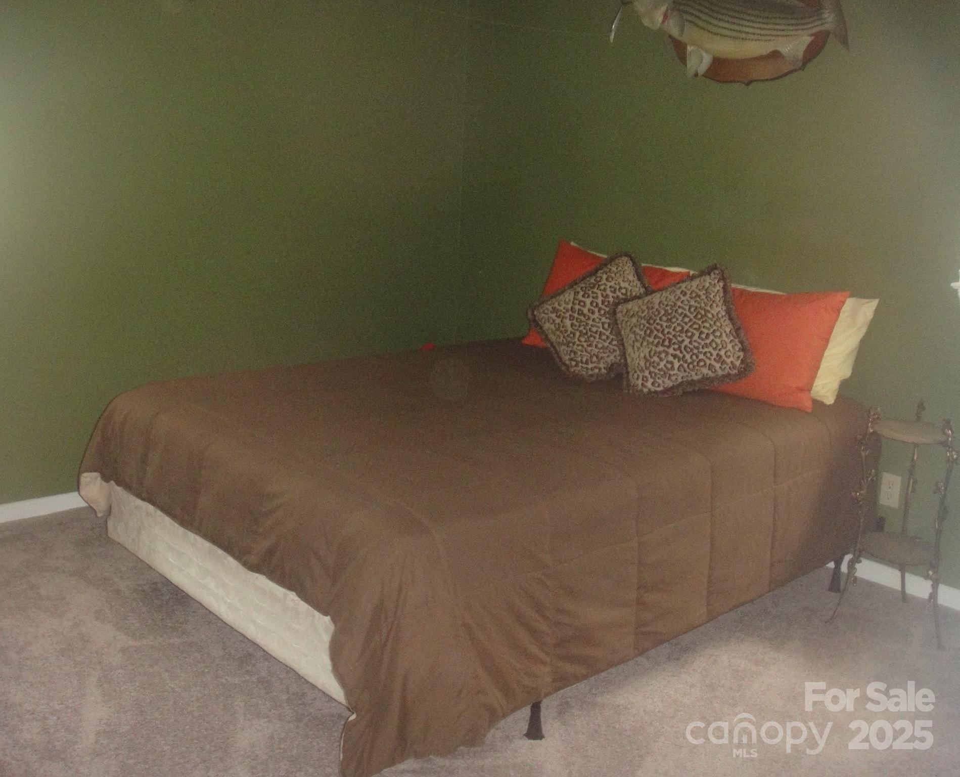 Photo #16