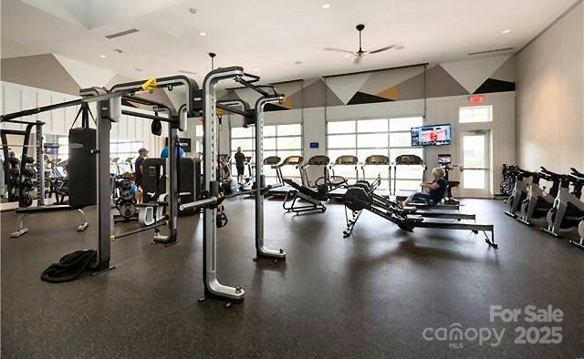 Photo #46