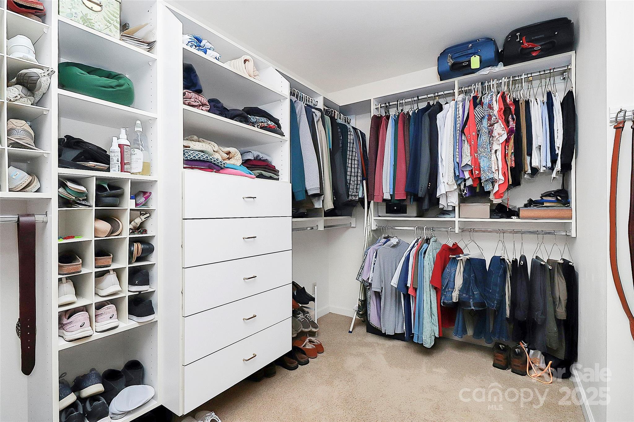 Photo #17