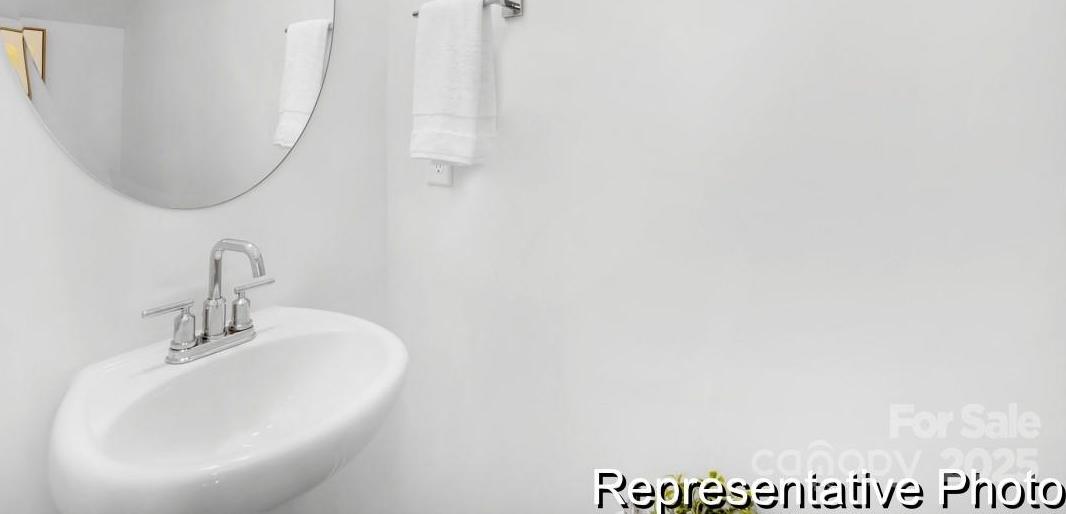 Photo #14