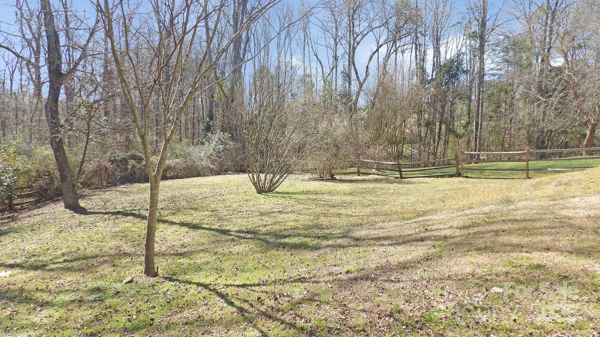 Photo #5