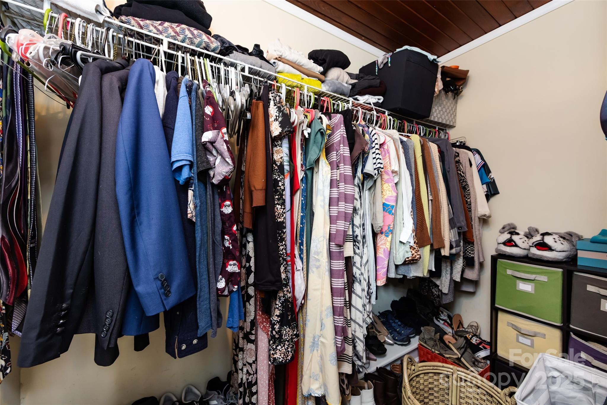 Photo #24