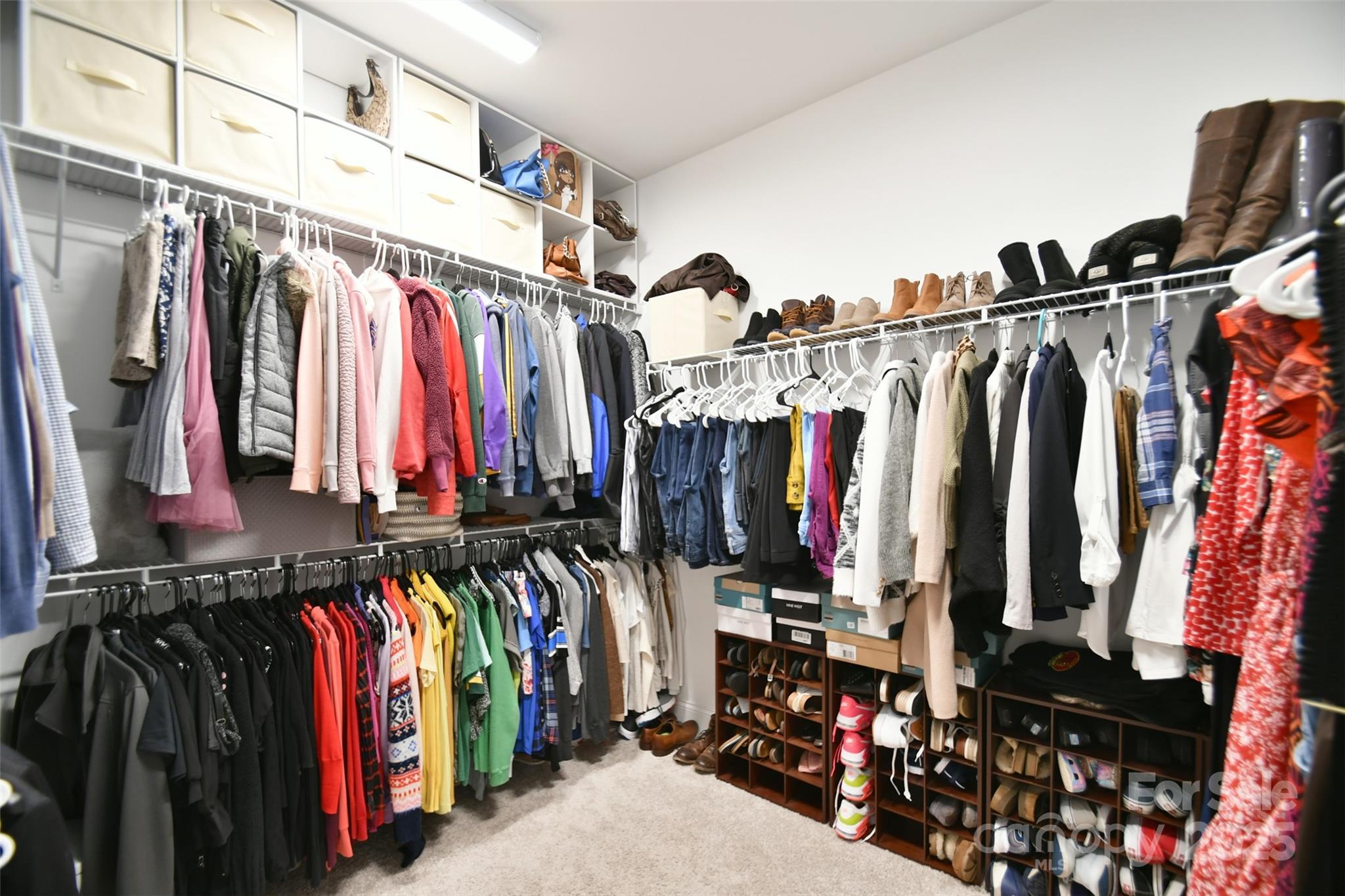 Photo #19