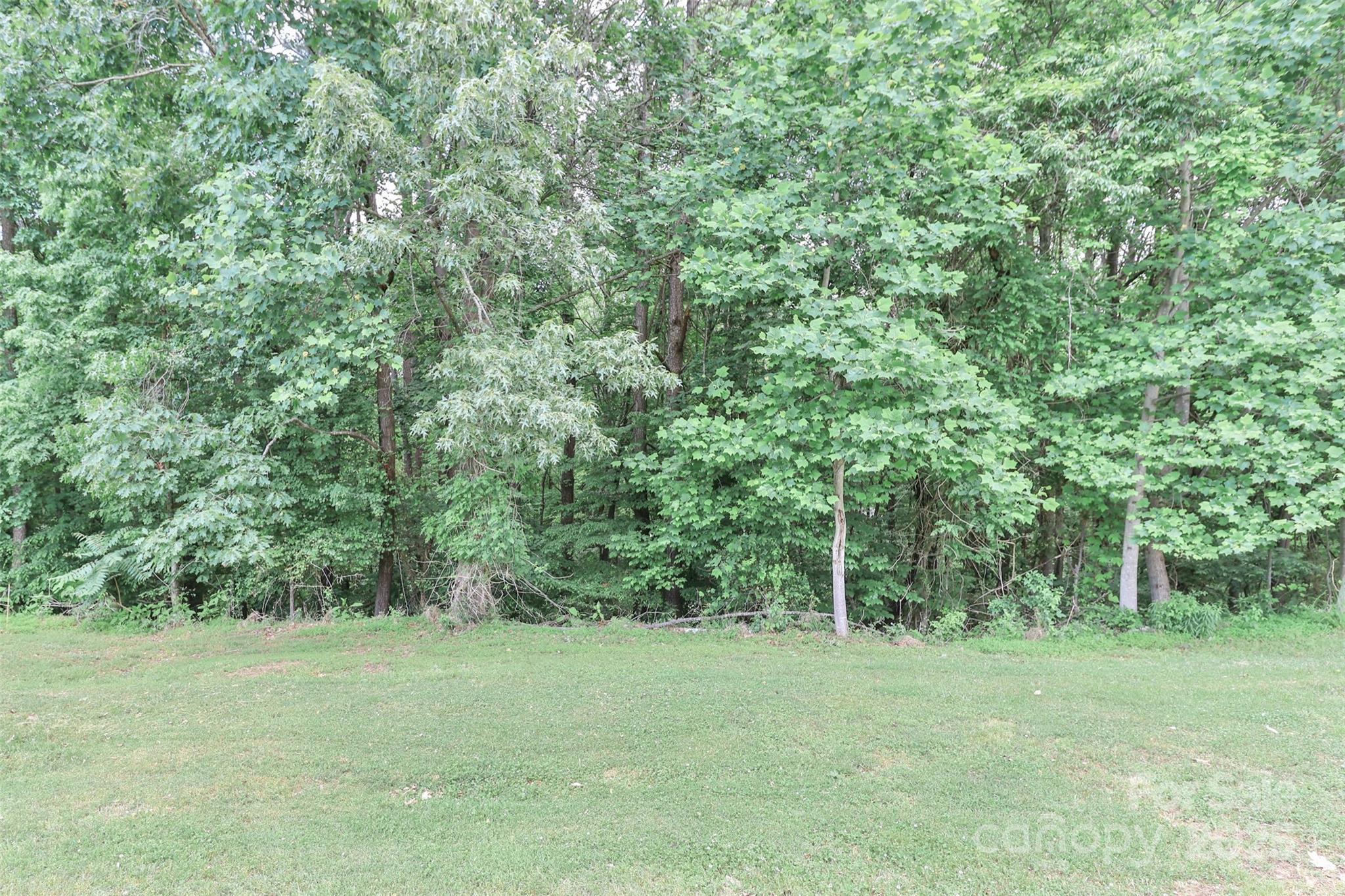 Photo #35