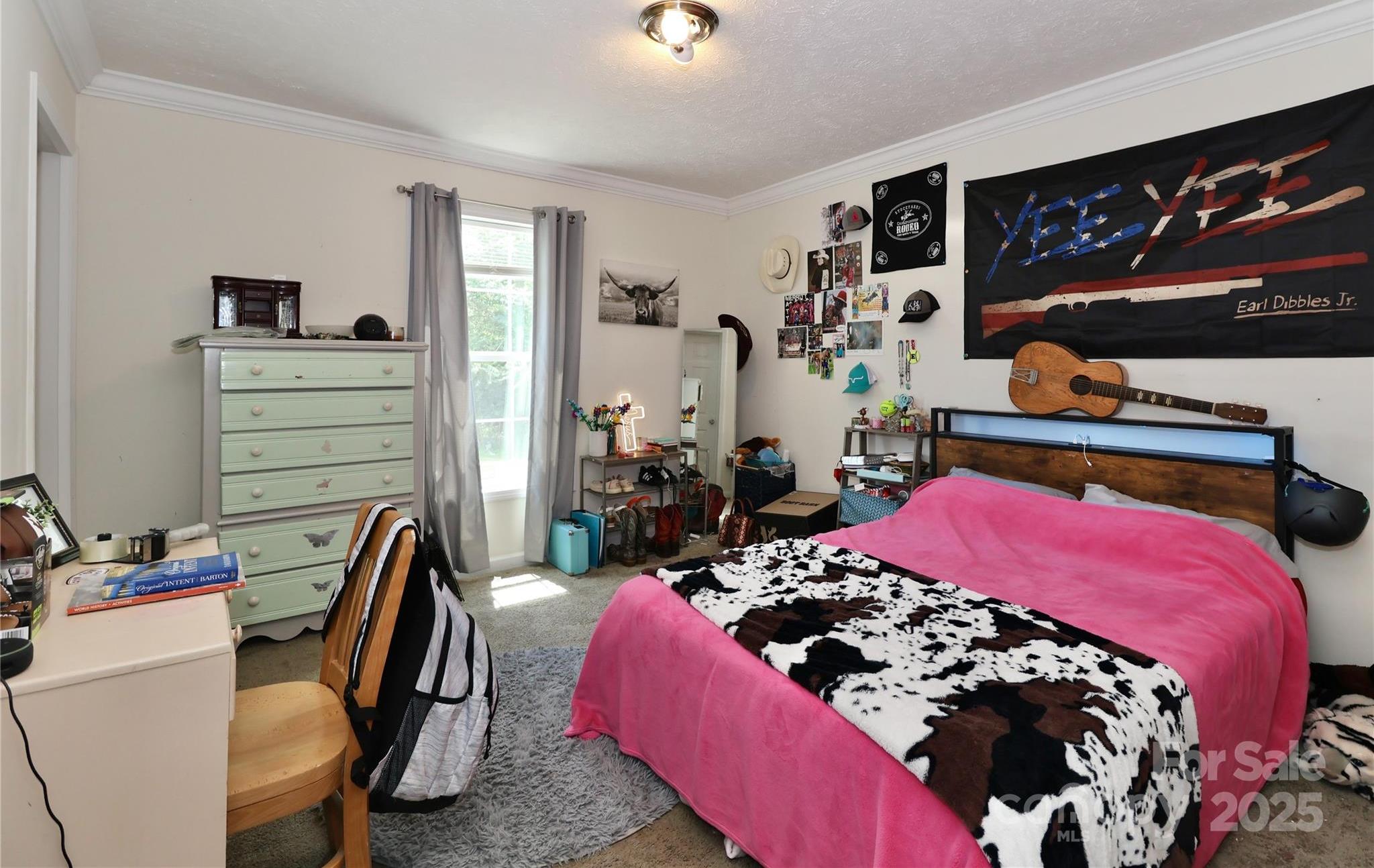 Photo #28