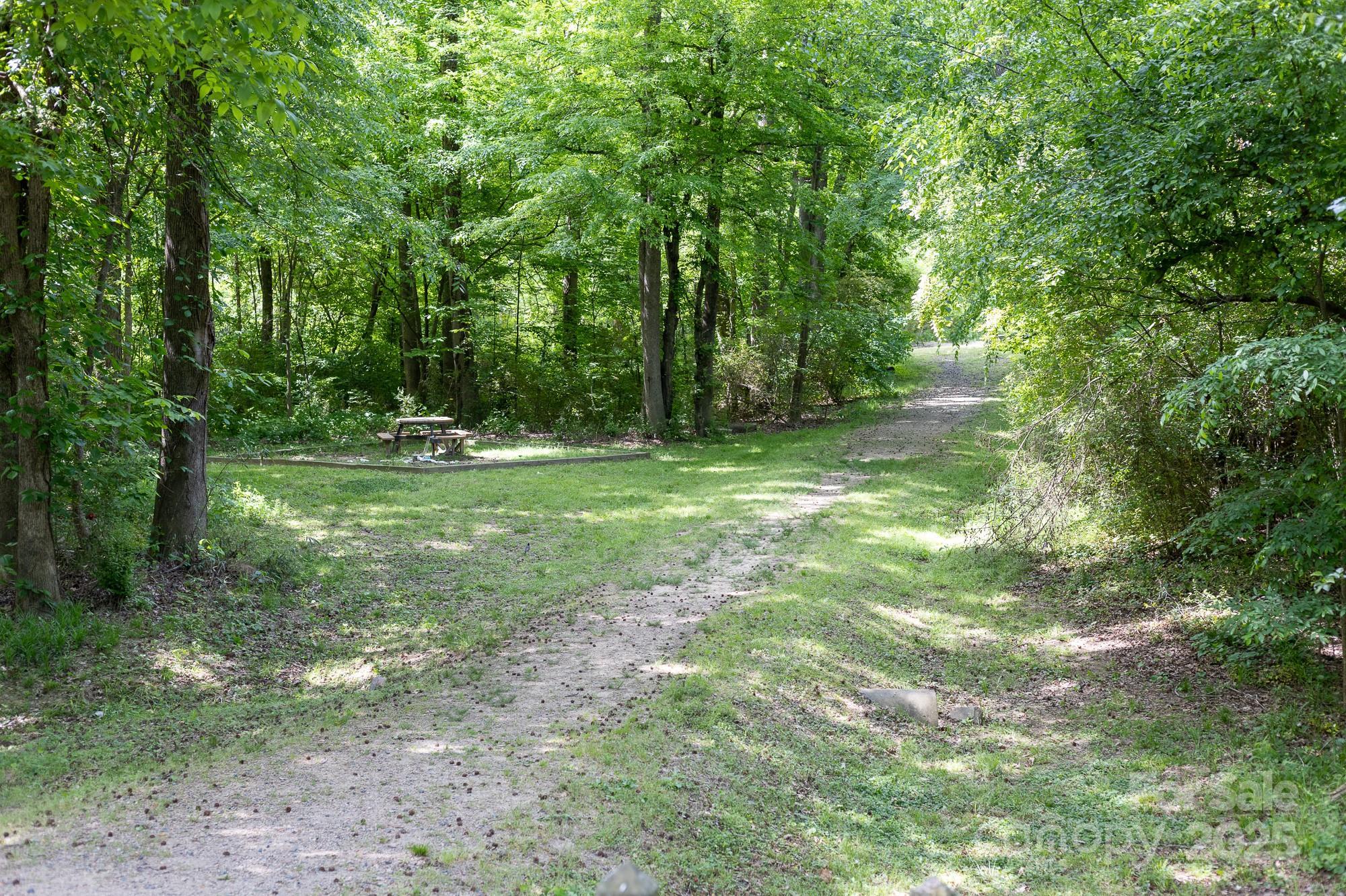 Photo #38