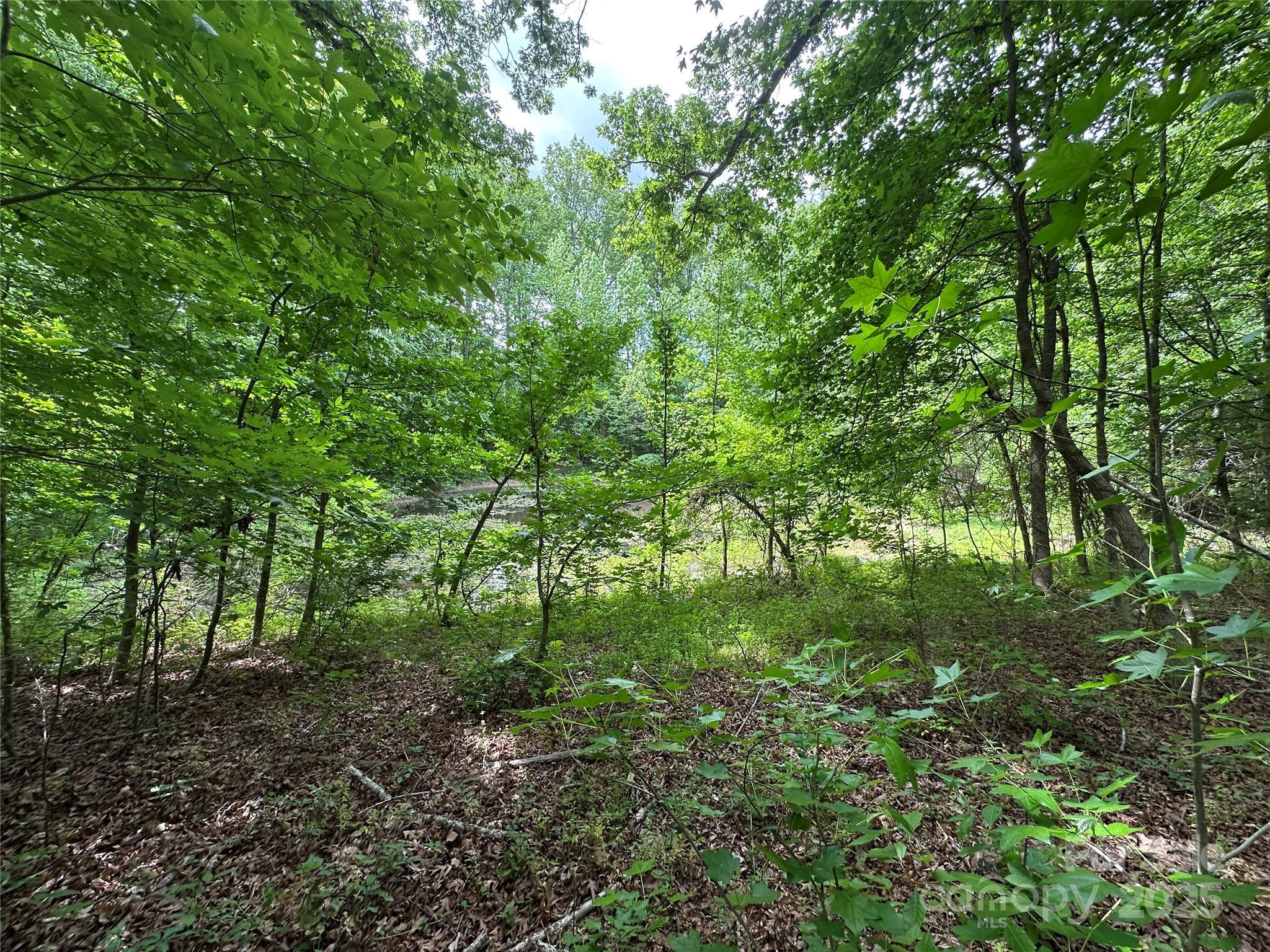 Photo #6