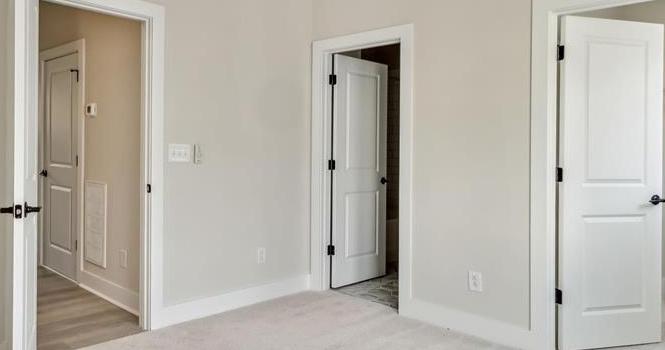 Photo #14