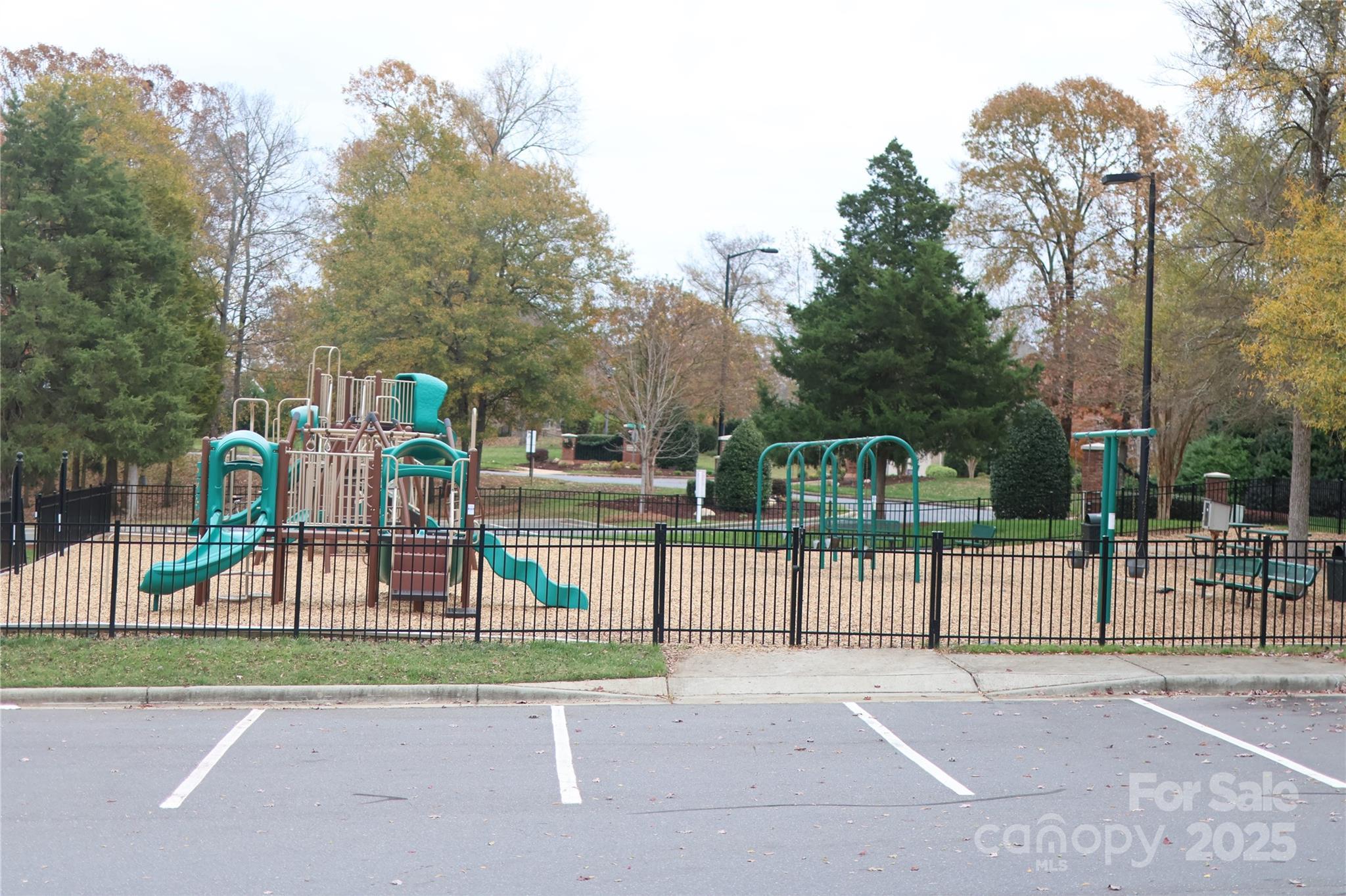Photo #46