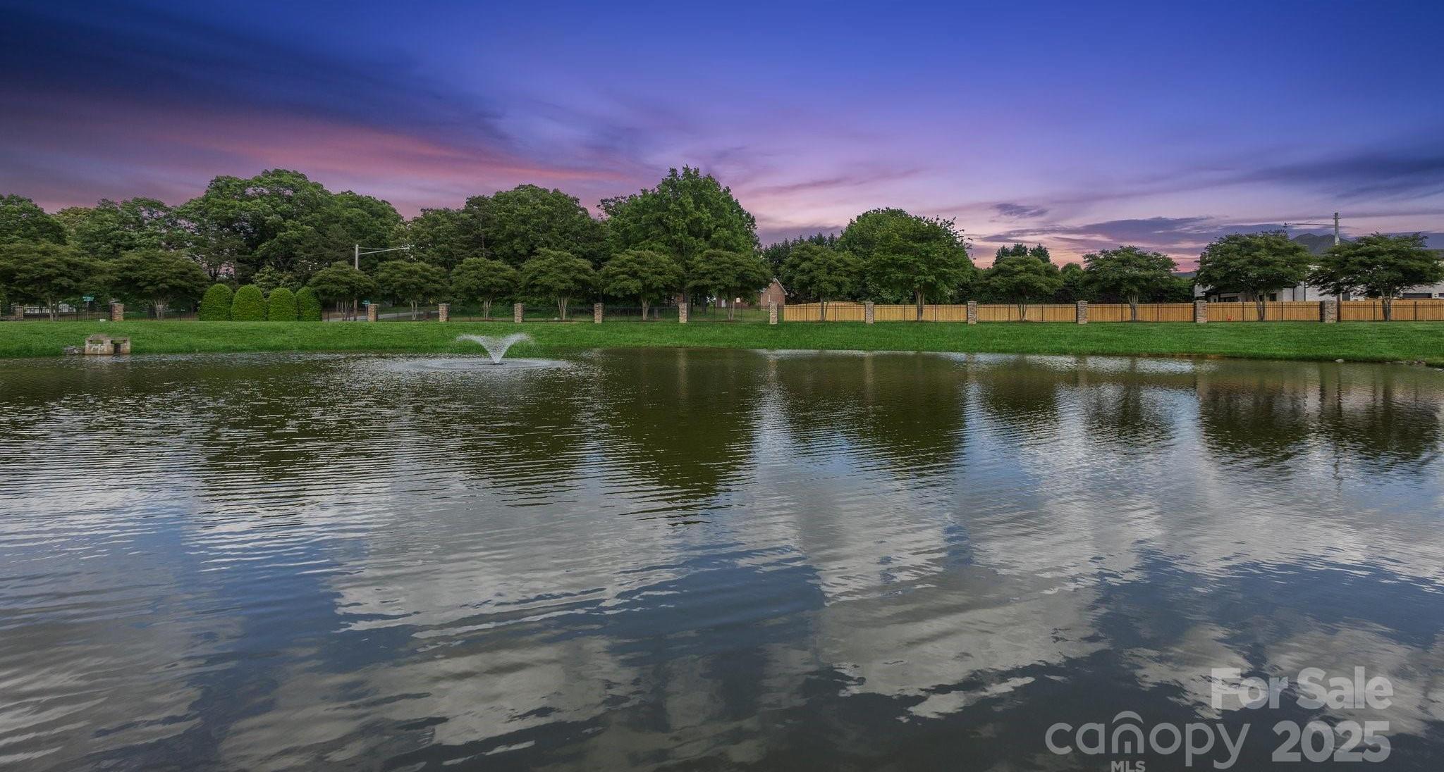 Photo #41
