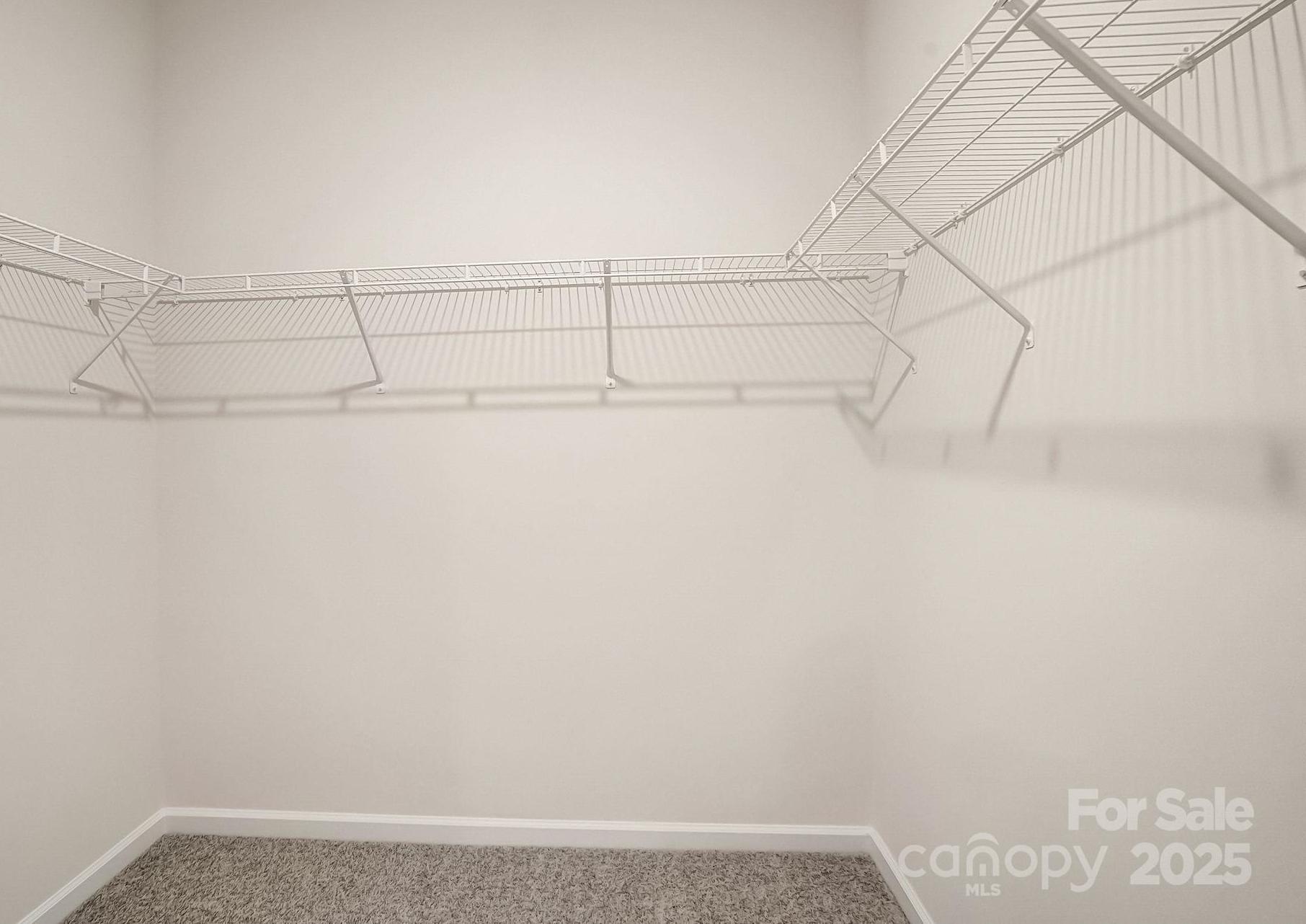Photo #24