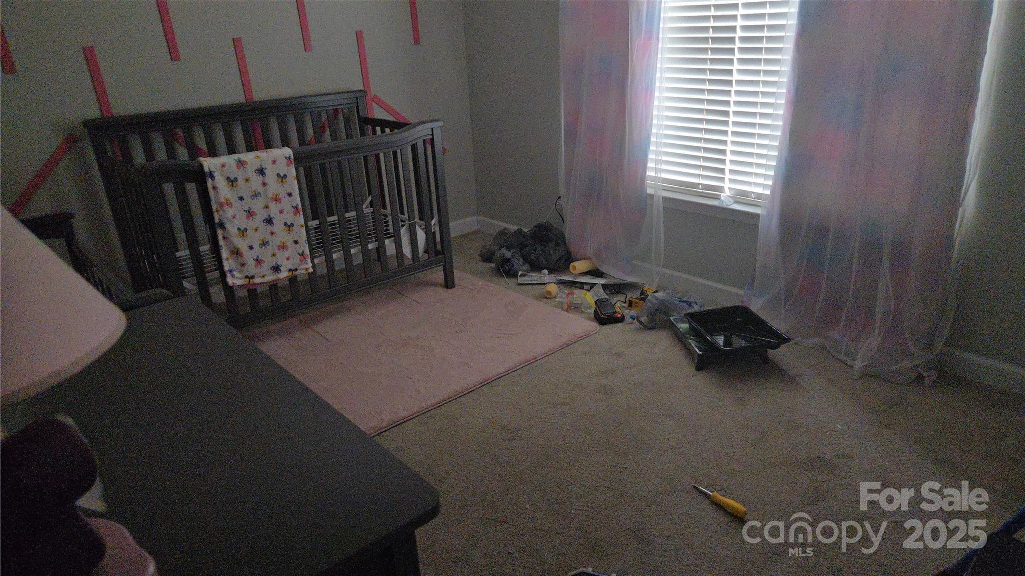 Photo #9