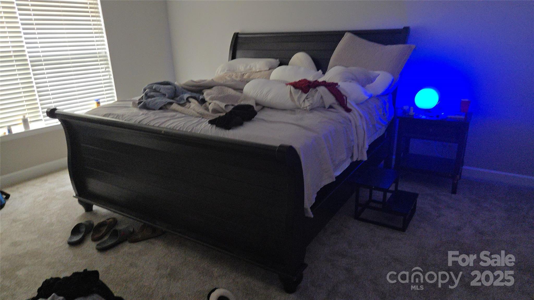 Photo #10