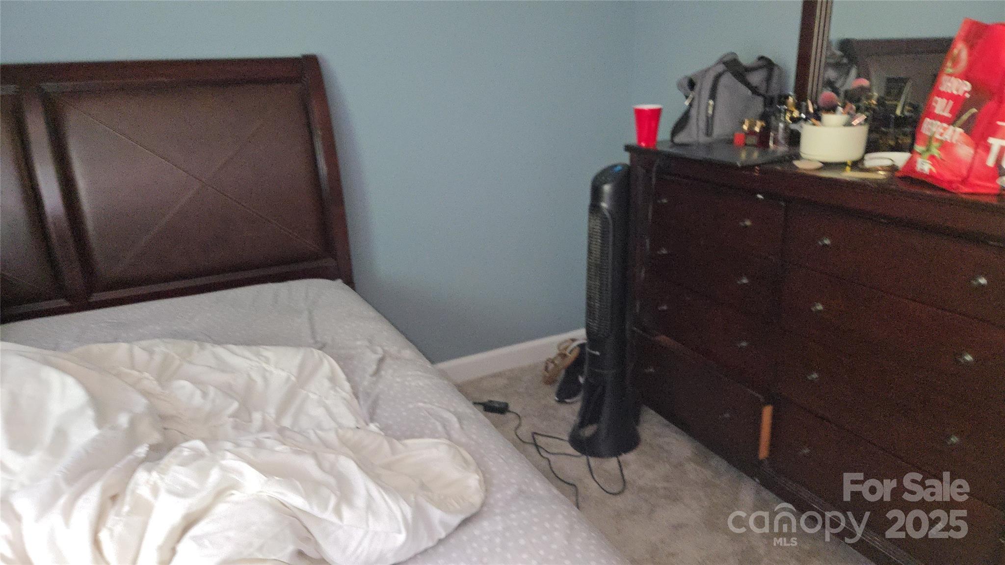 Photo #13