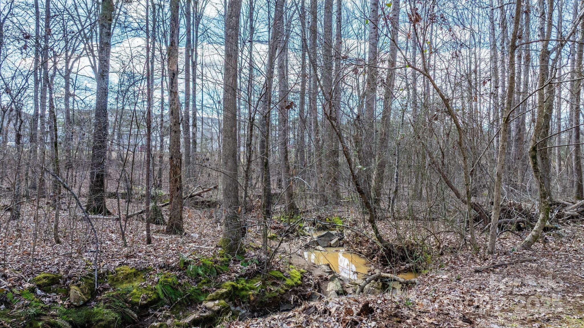 Photo #34