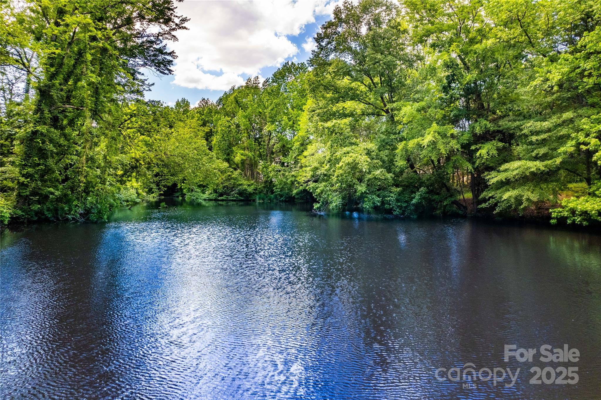 Photo #34