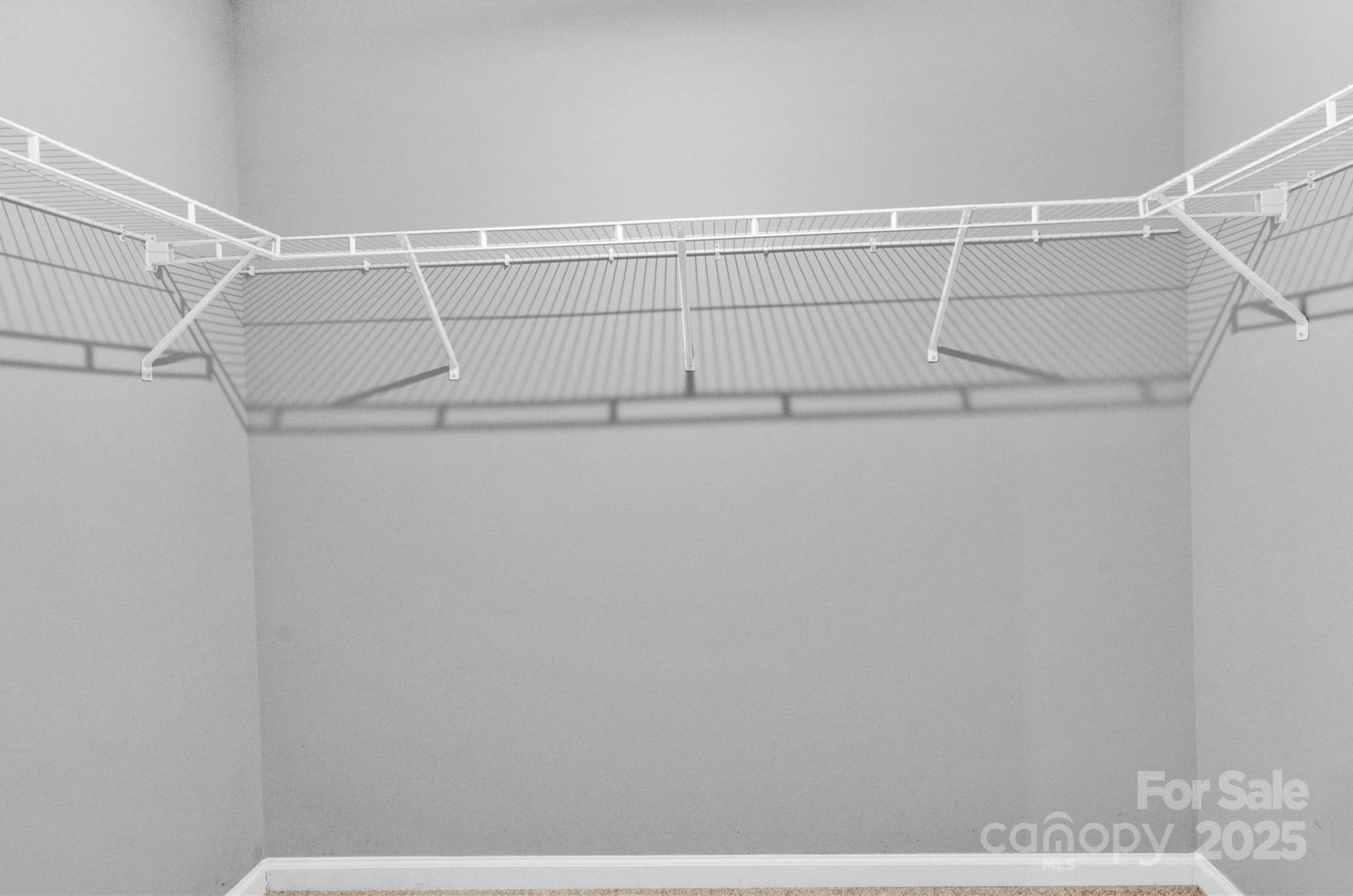 Photo #21