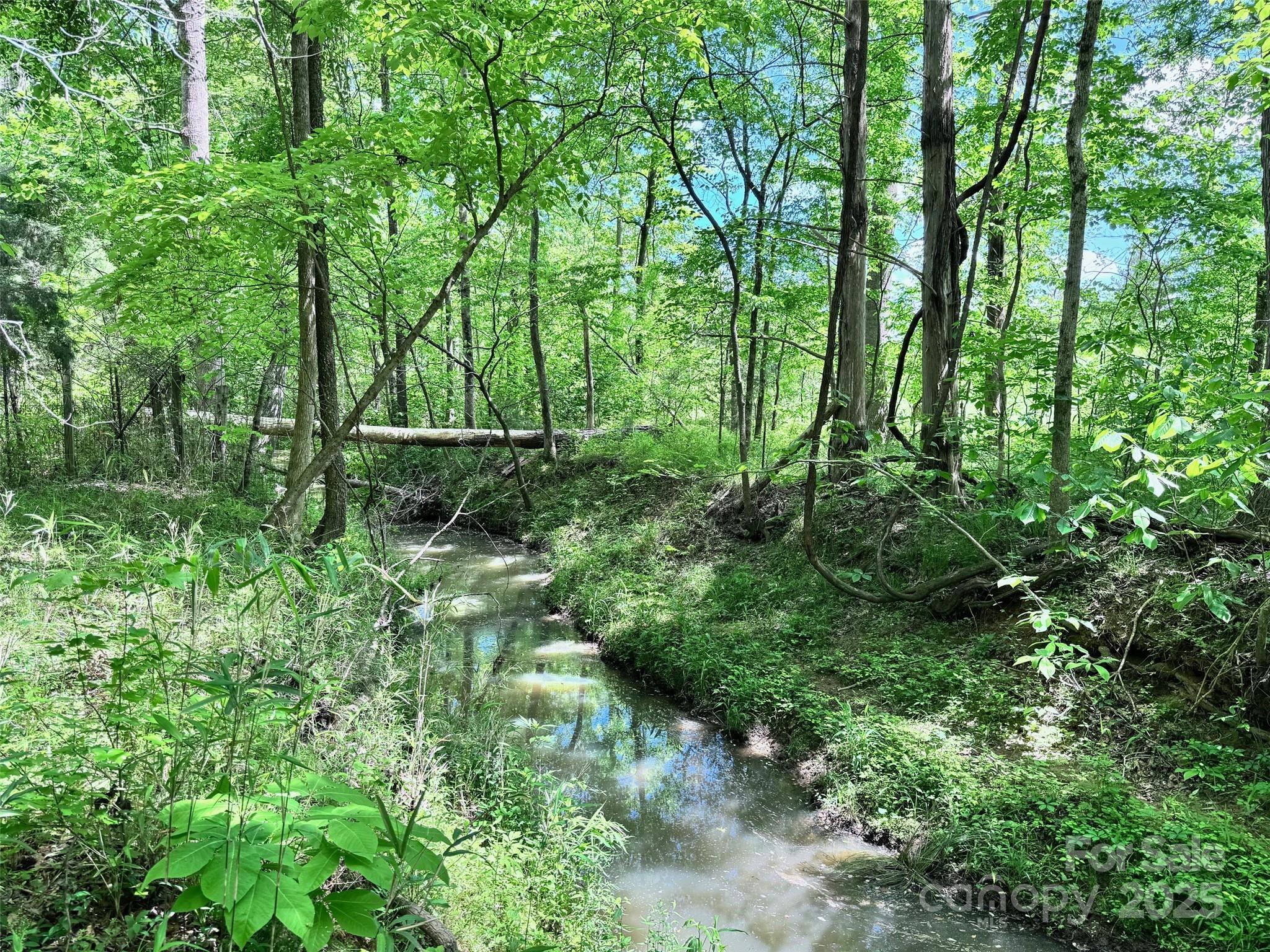 Photo #7