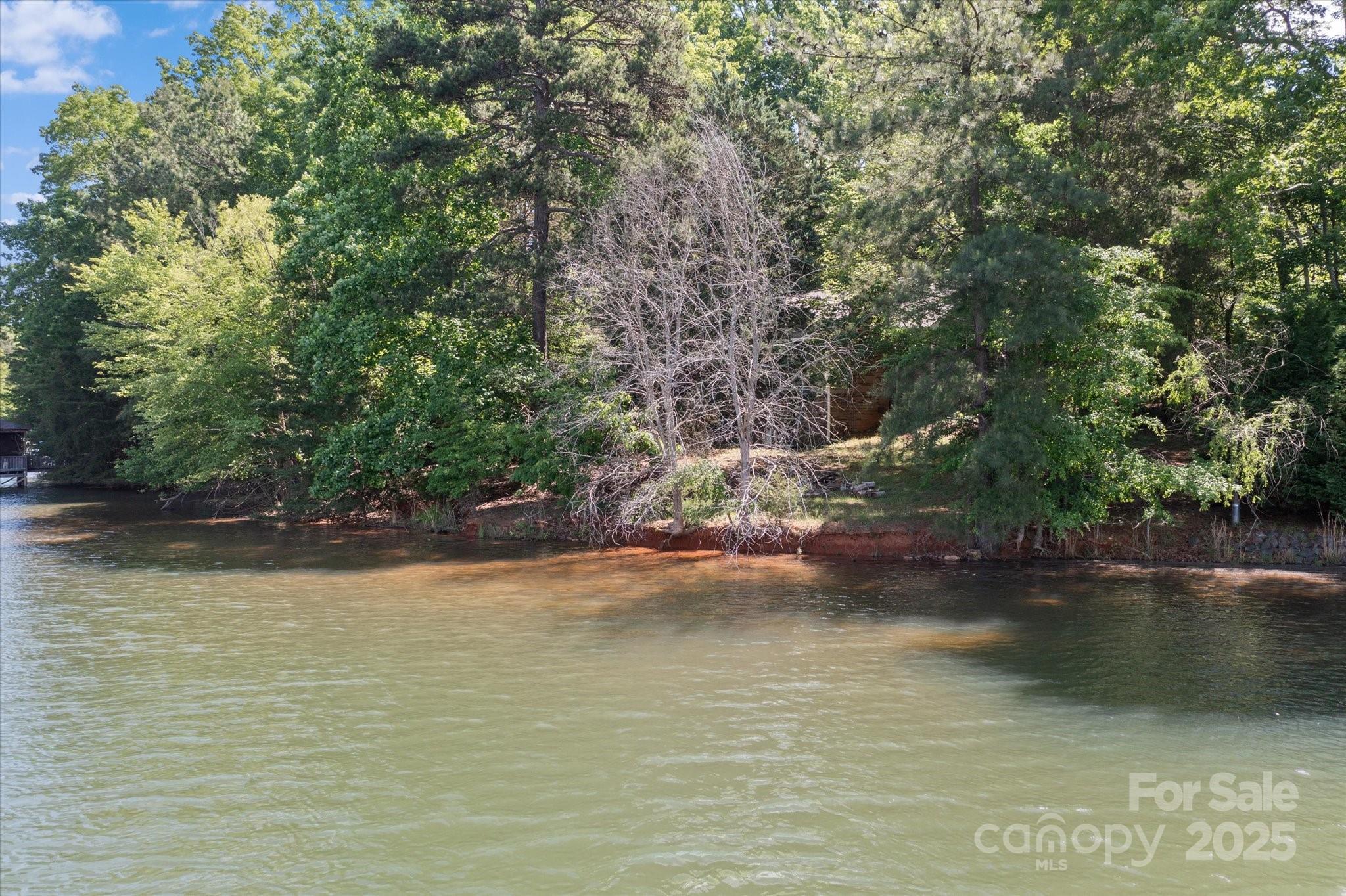 Photo #29