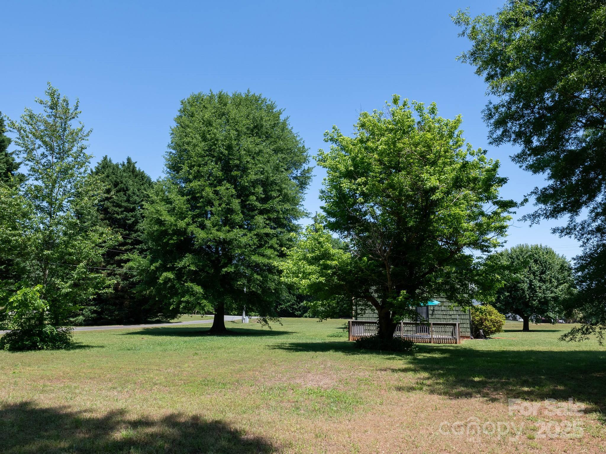 Photo #30