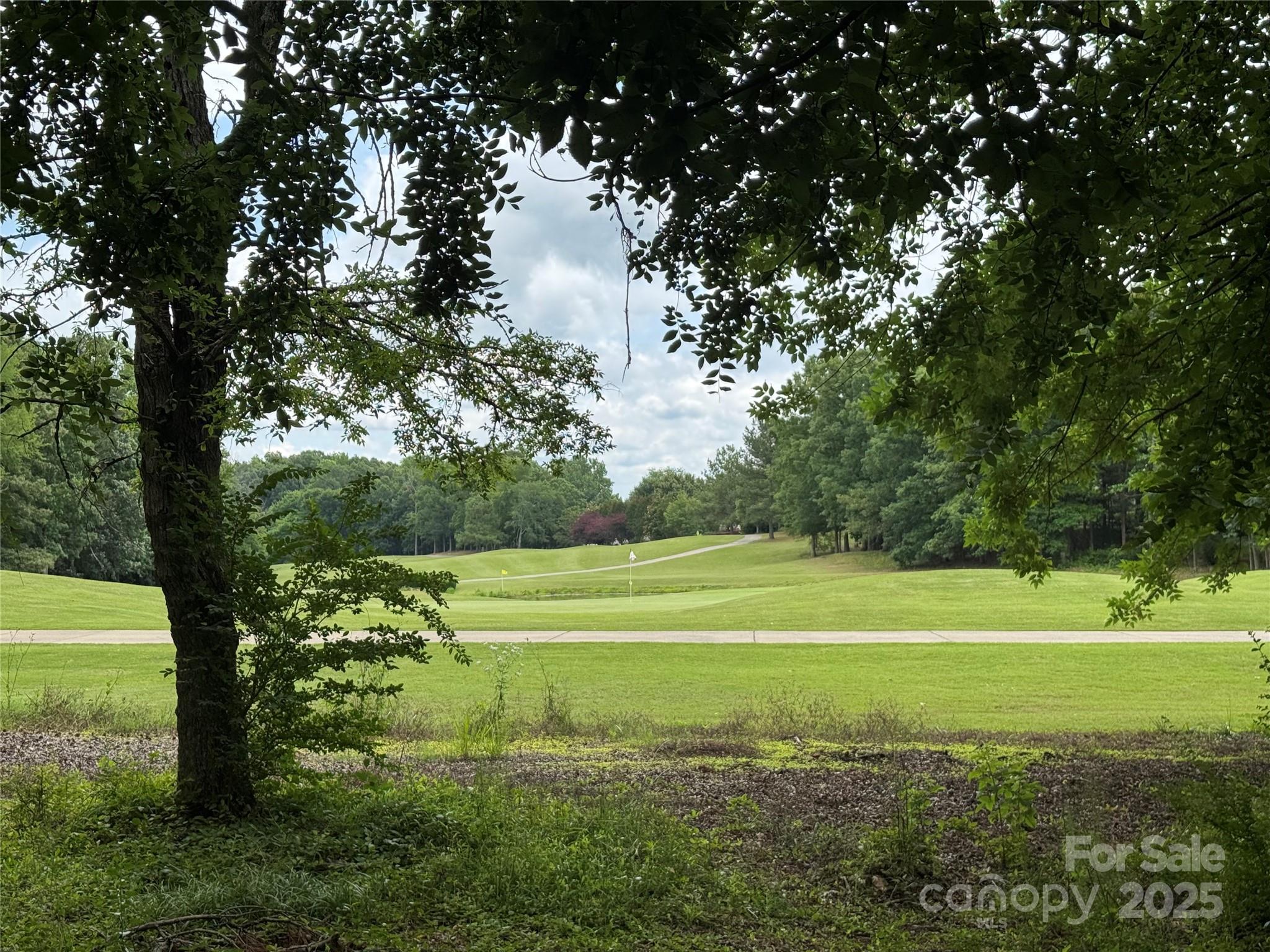 Photo #43