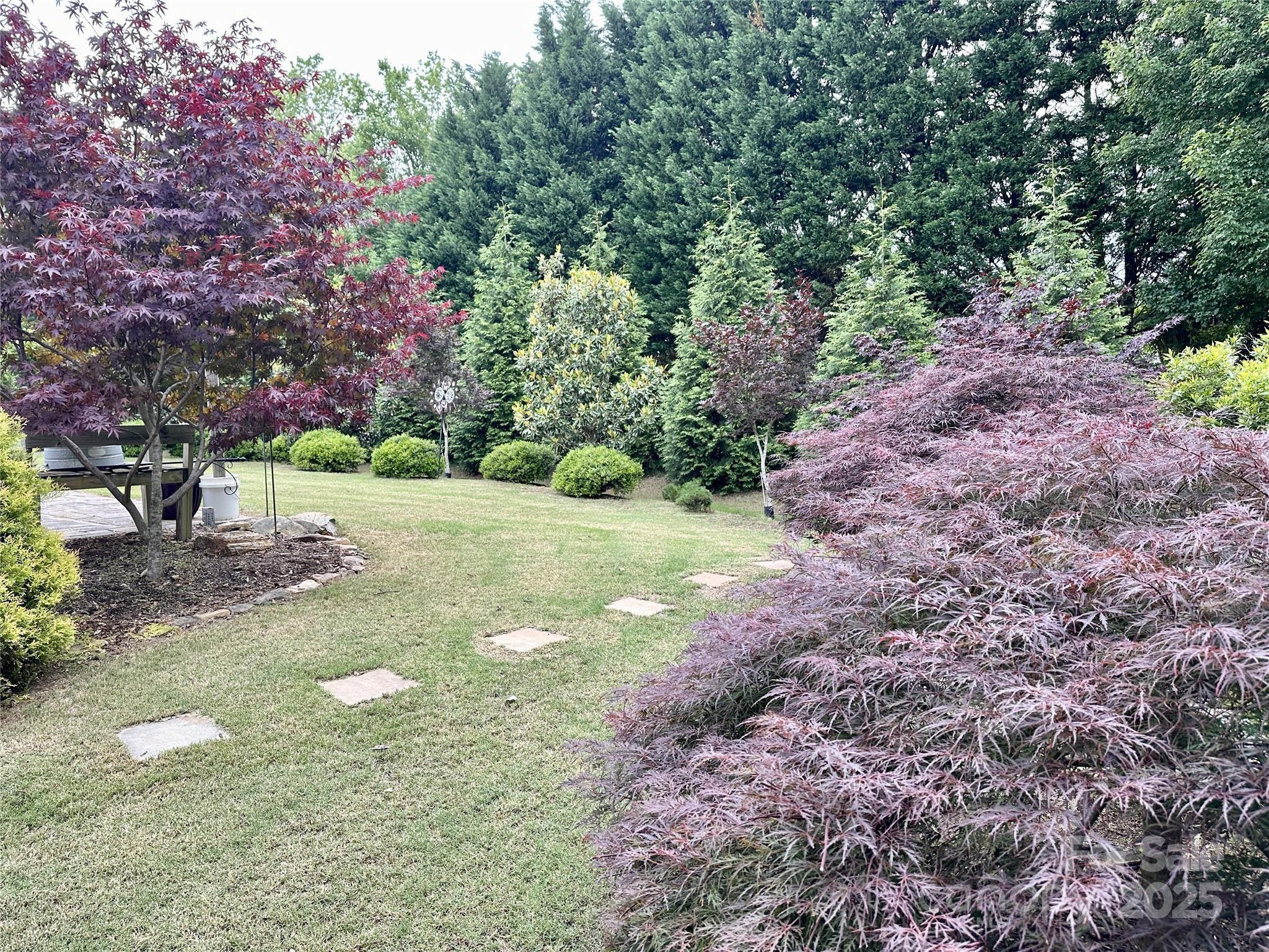 Photo #21