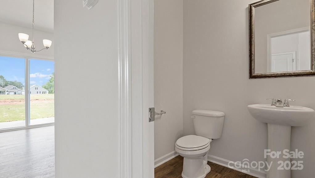 Photo #4
