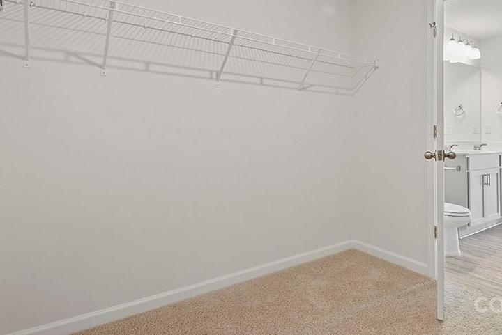 Photo #16