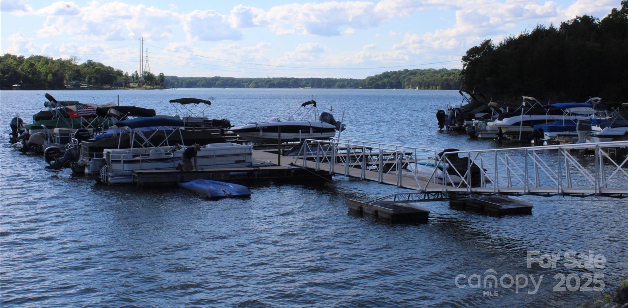 Photo #41