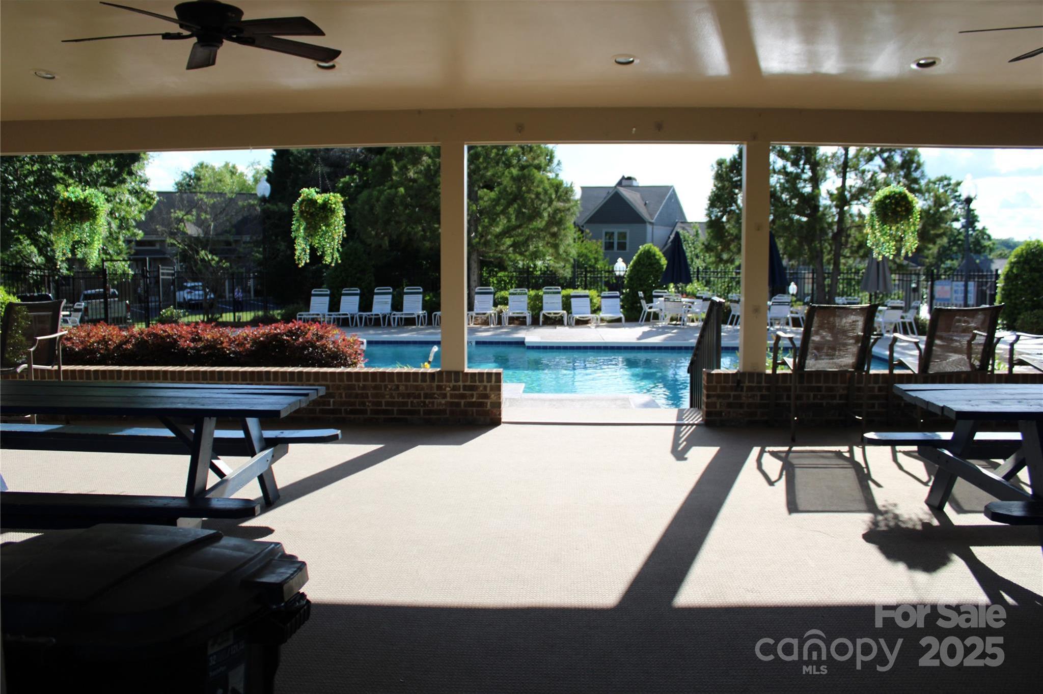 Photo #36