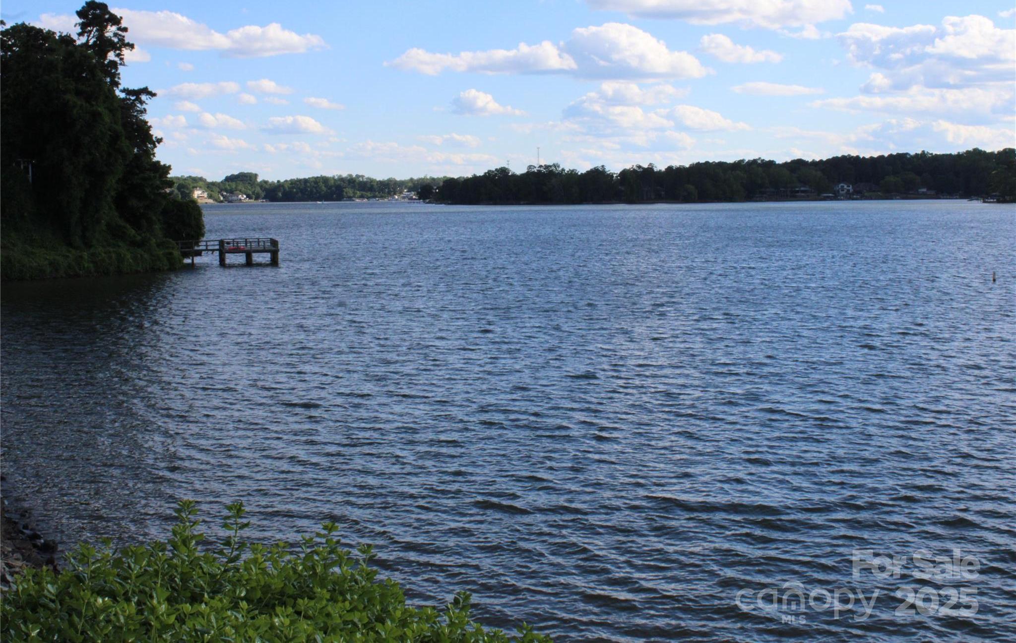 Photo #38