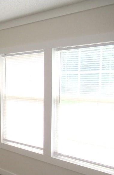 Photo #14