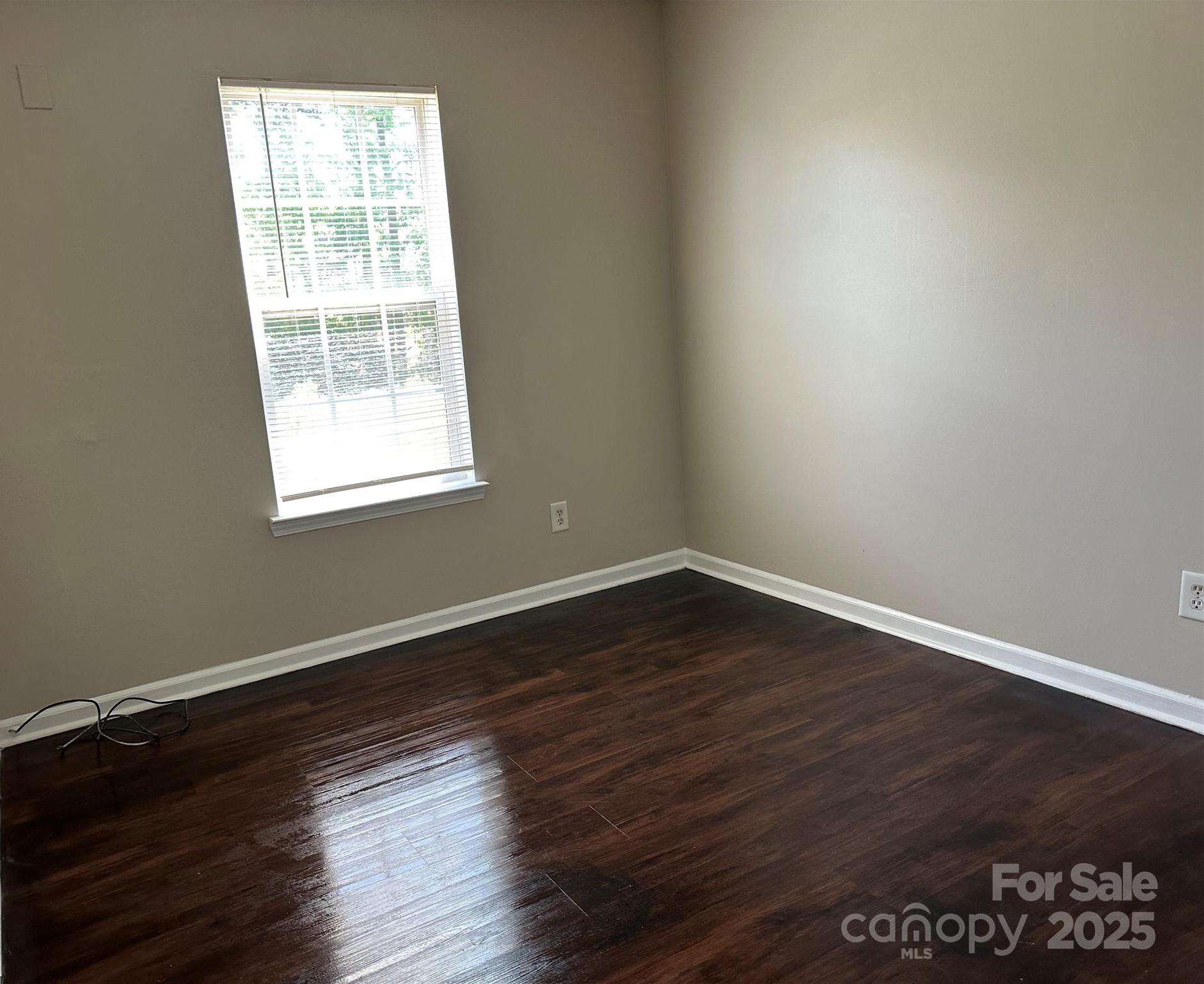Photo #21