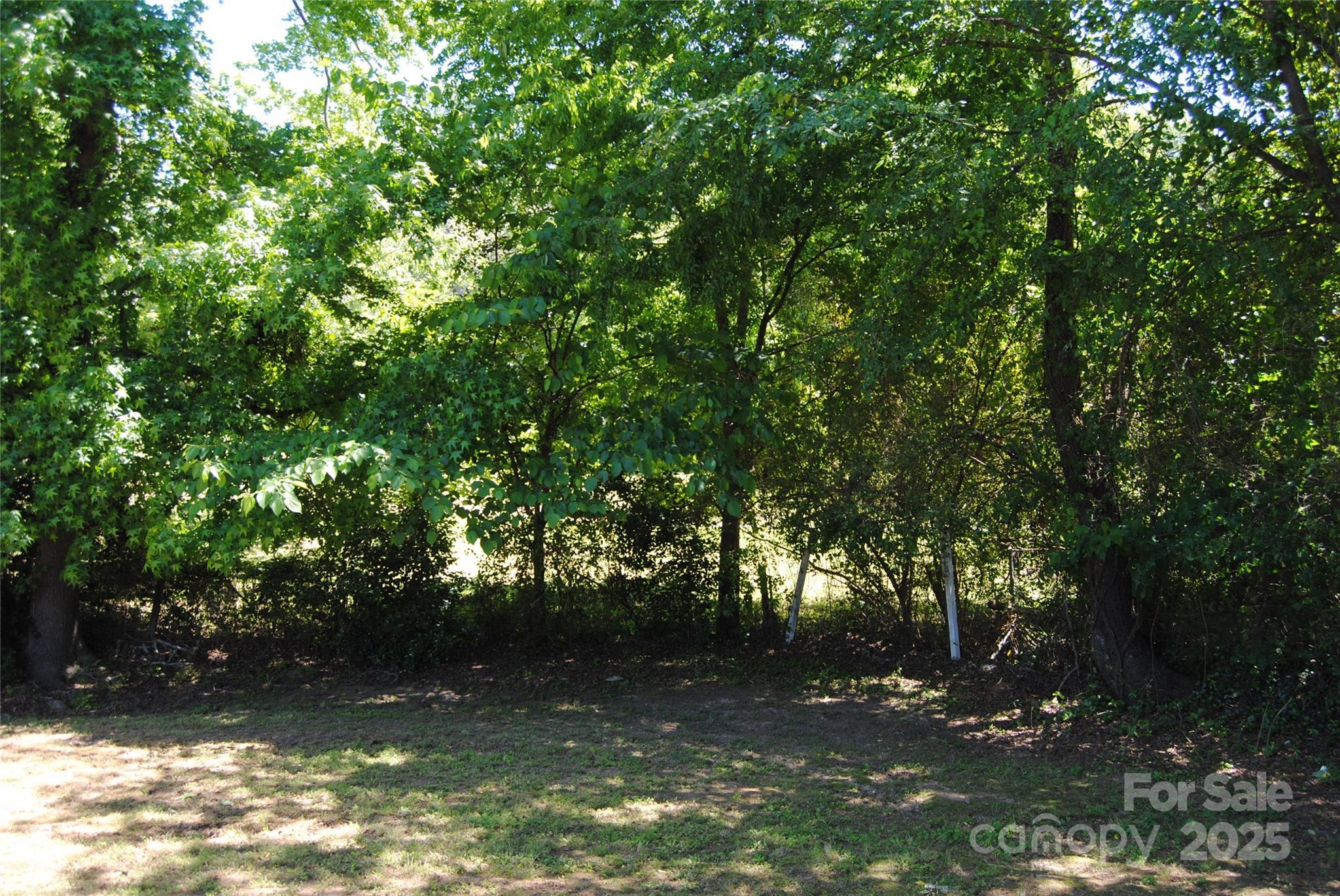 Photo #4