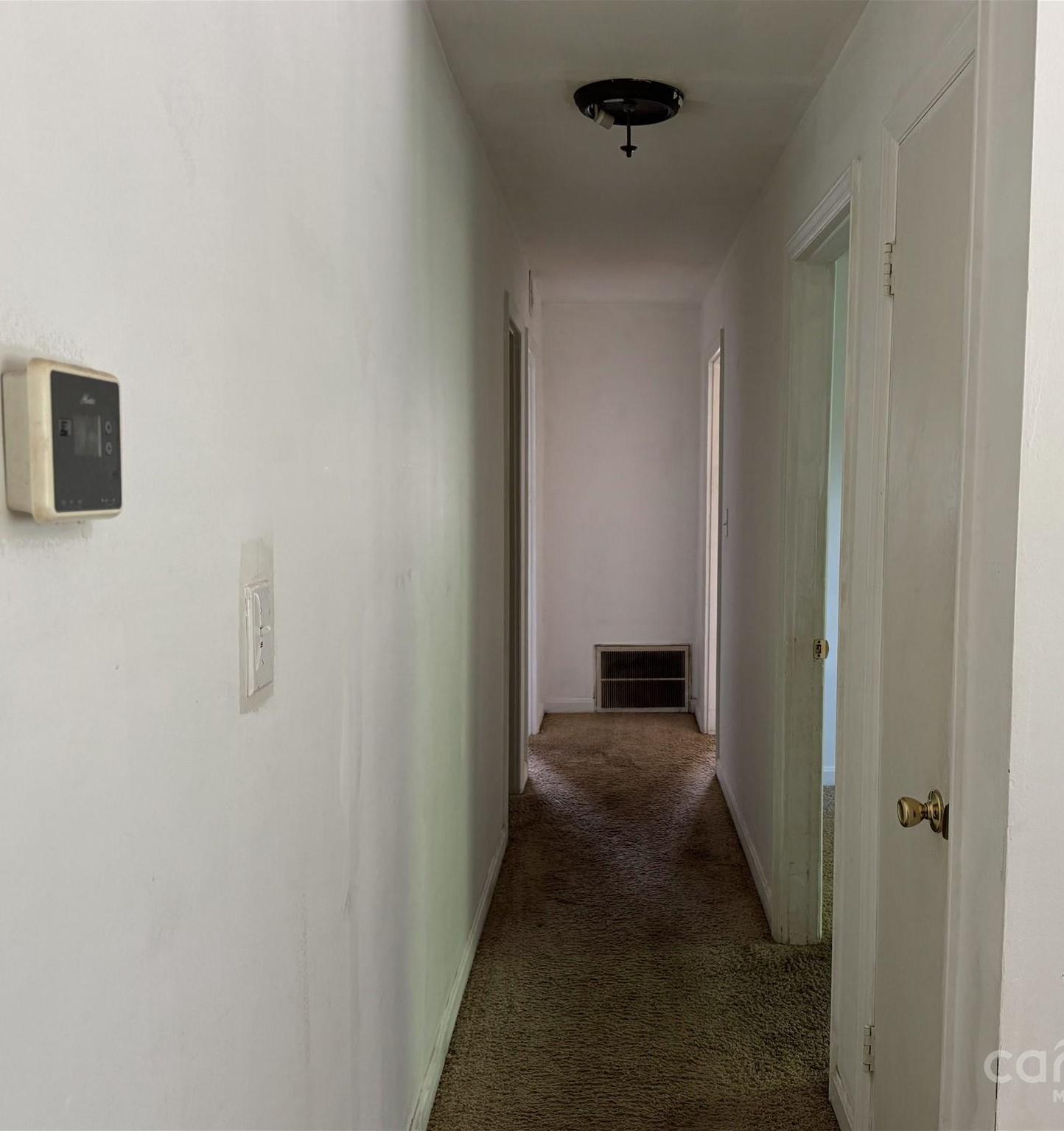 Photo #14